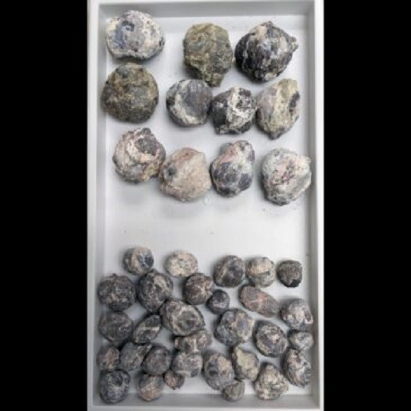 1LB Bulk of Fluorescent Foxhole Mine Dugway Geodes Unbroken Mix Wholesale Lot