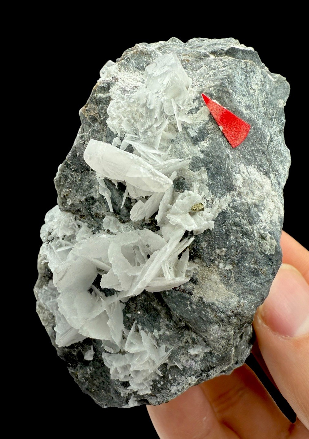Fluorite w/ Calcite & Galena Crystals : Tacconis Mine . Sardinia , Italy 🇮🇹