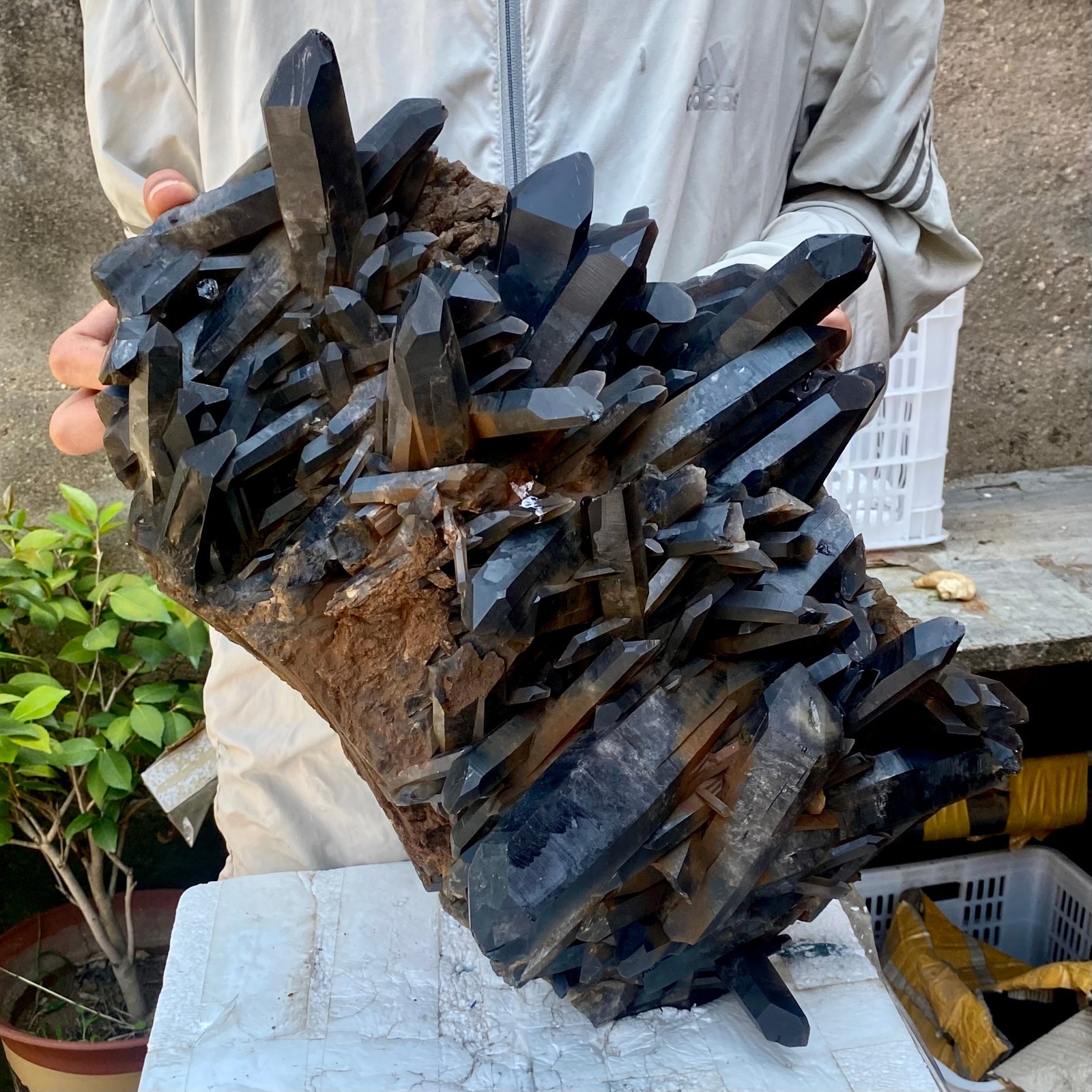 57LB Tea black Crystal quartz Cluster Mineral Specimen Healing reiki