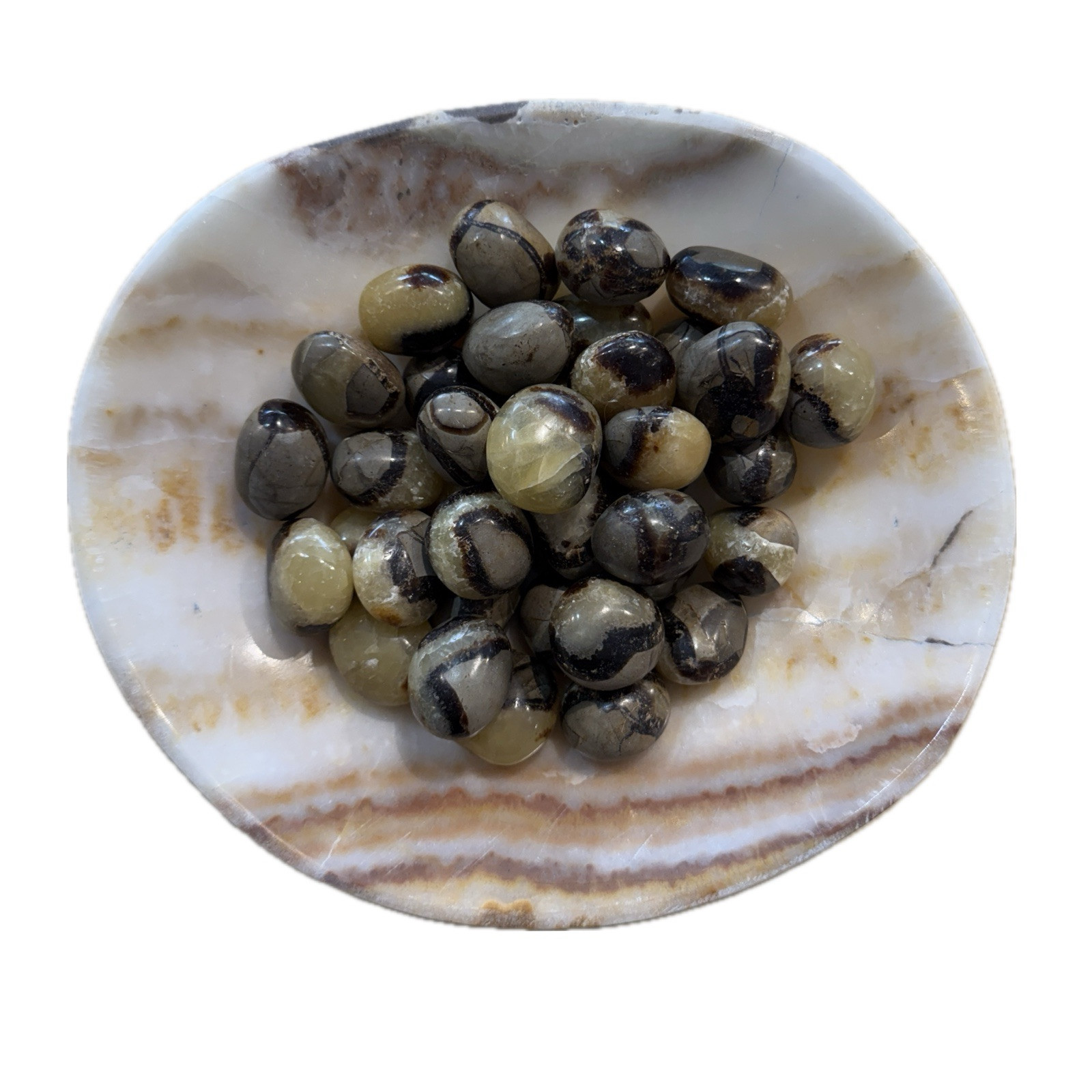 Septarian Crystal Tumbled Stones Polished Rocks, High Polish, Giraffe Markings