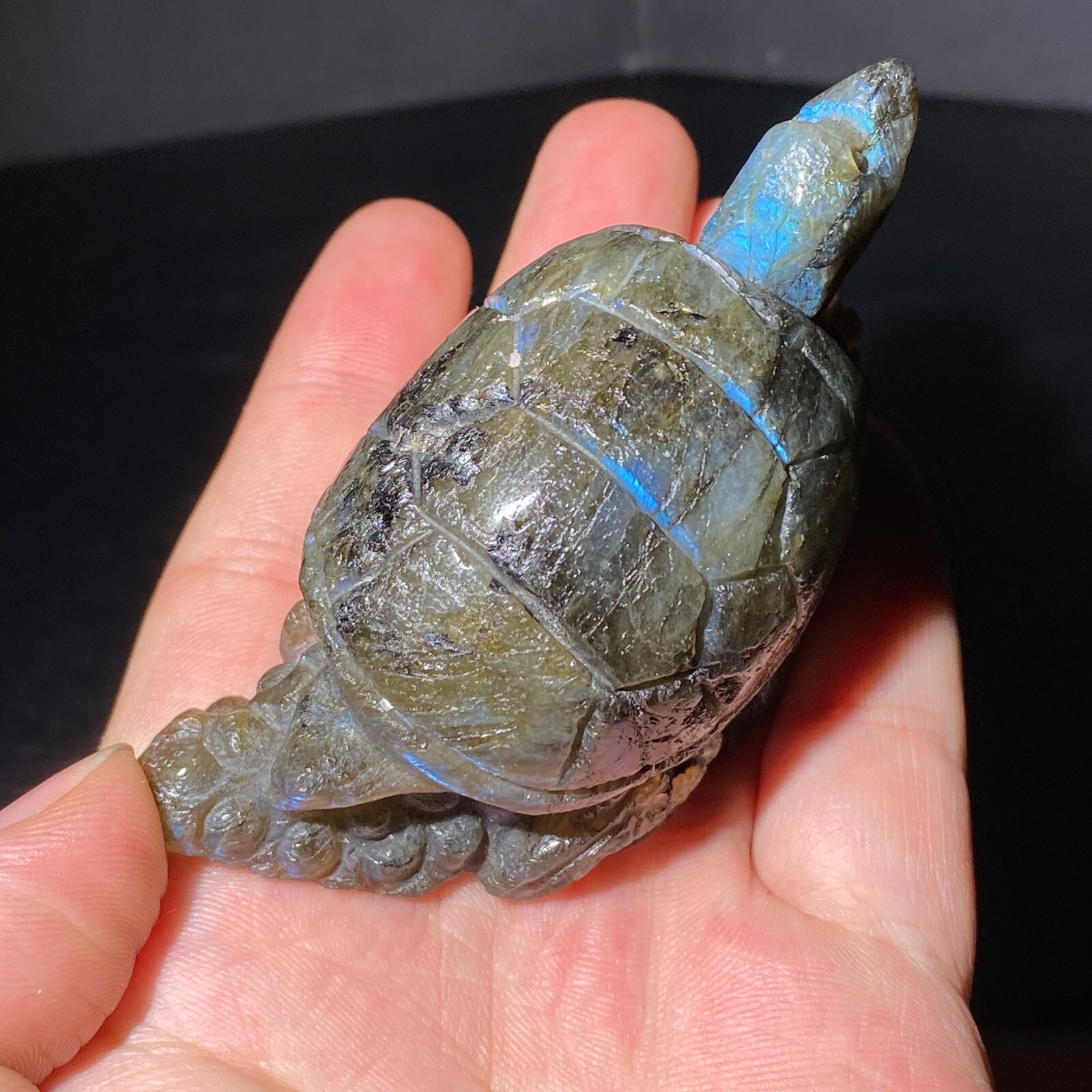 160G Natural labradorite crystal hand-carved tortoise sculpture healing
