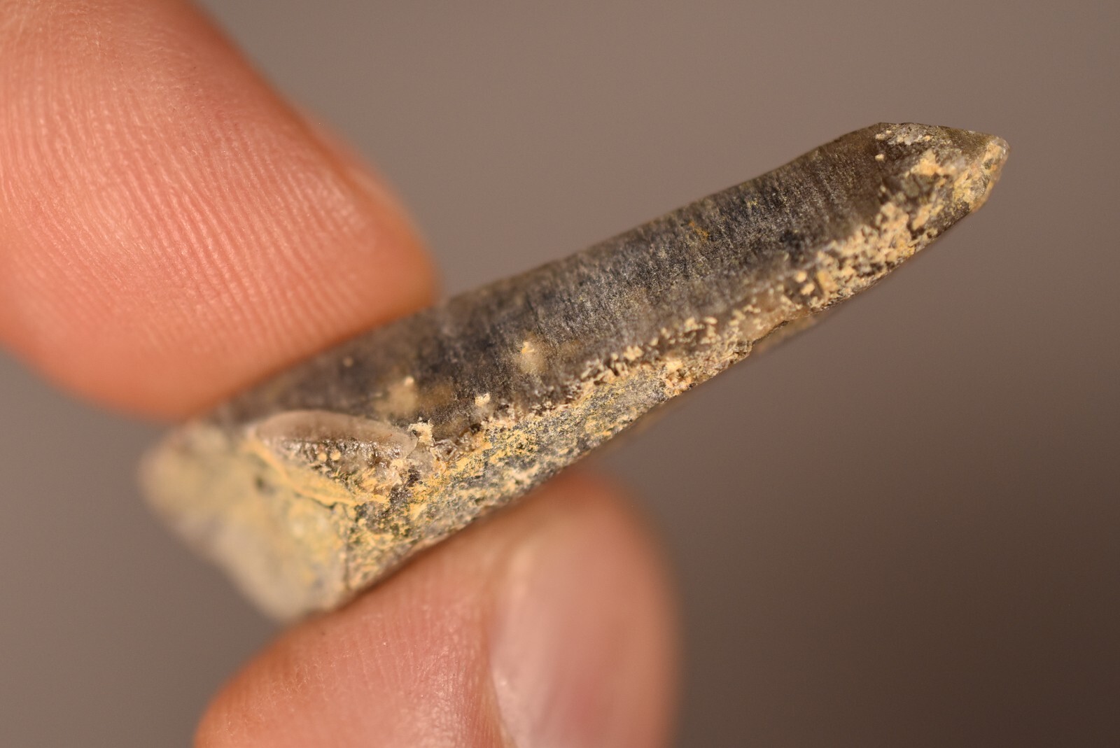3 *AUSTRALIAN* SMOKEY QUARTZ 2-4cm 19g Natural Crystal Smoky New England NSW