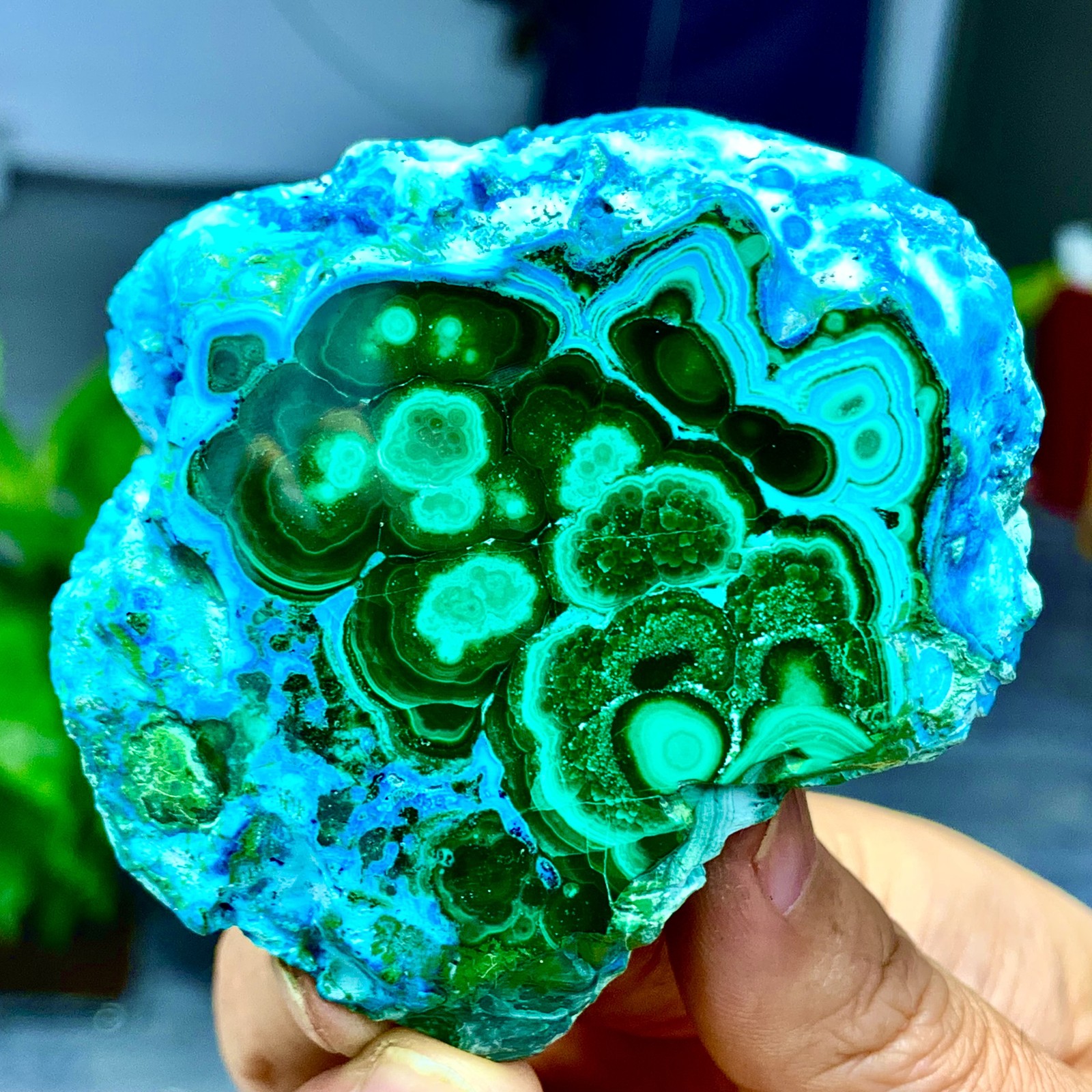205G Natural Chrysocolla/Malachite transparent cluster rough mineral sample