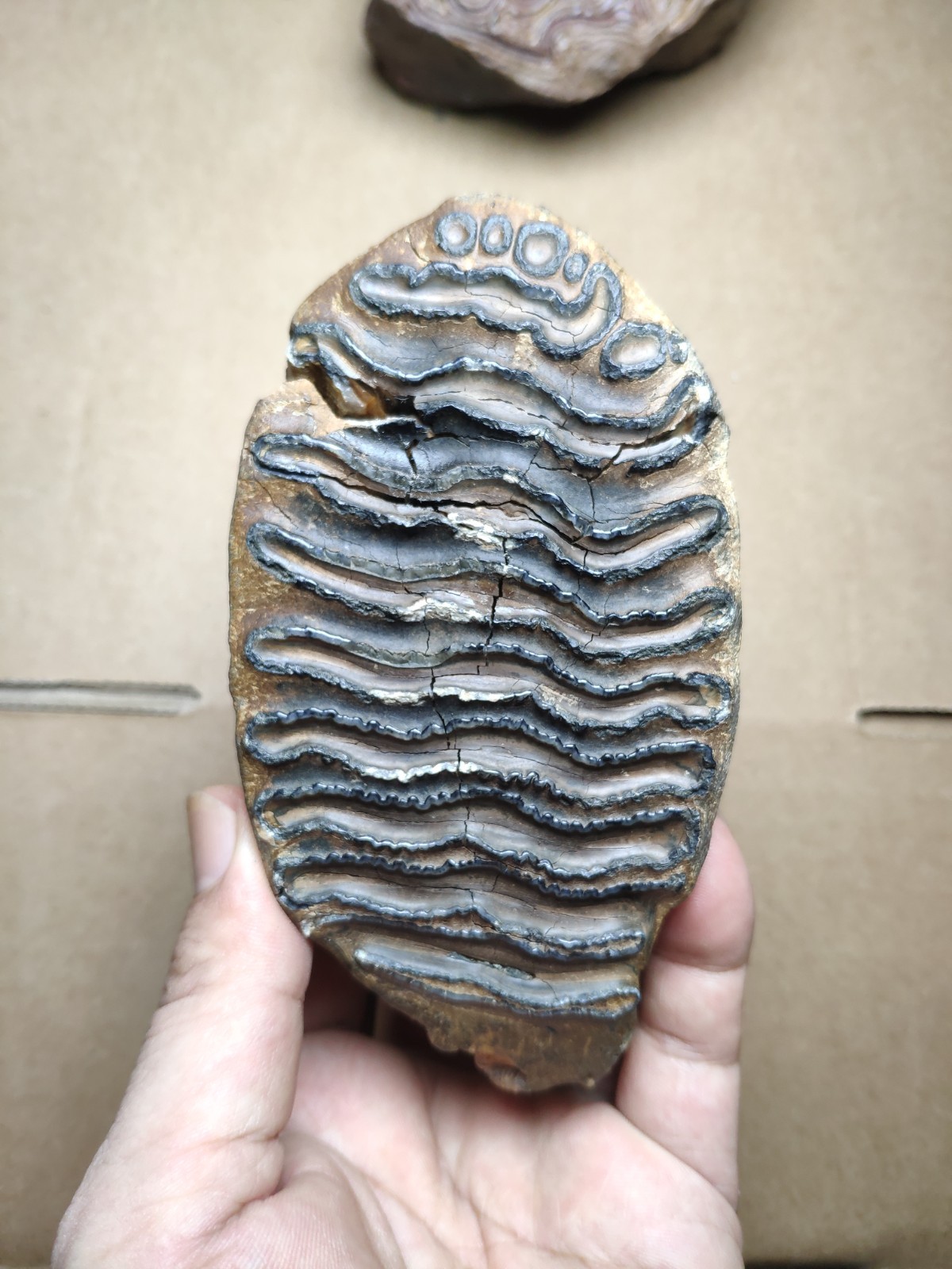 530g Beautiful Clear texture landscape stone