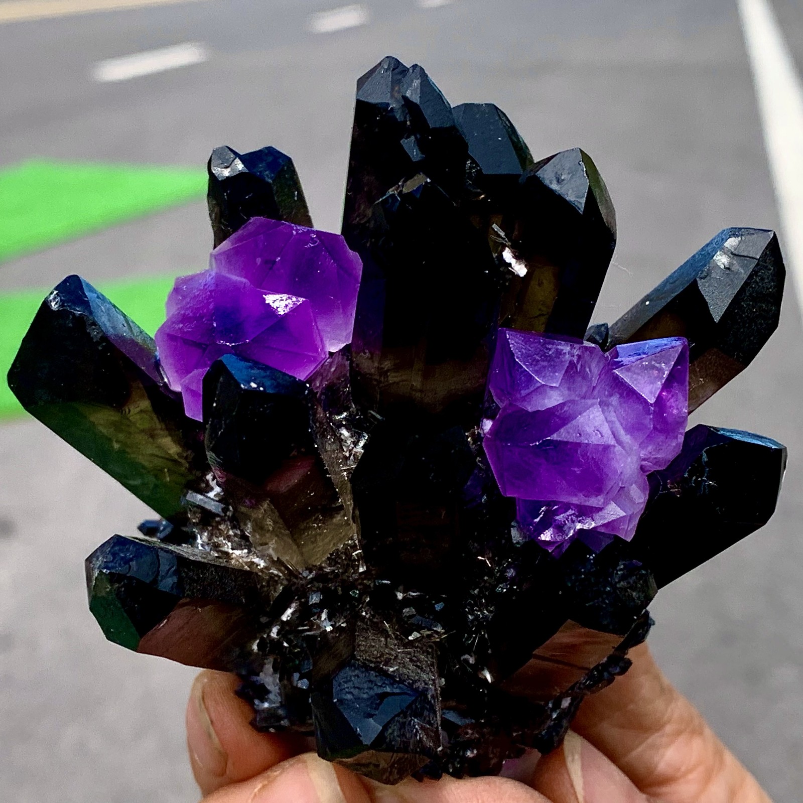 268G New Find black+purple Phantom Quartz Crystal Cluster Mineral Specimen
