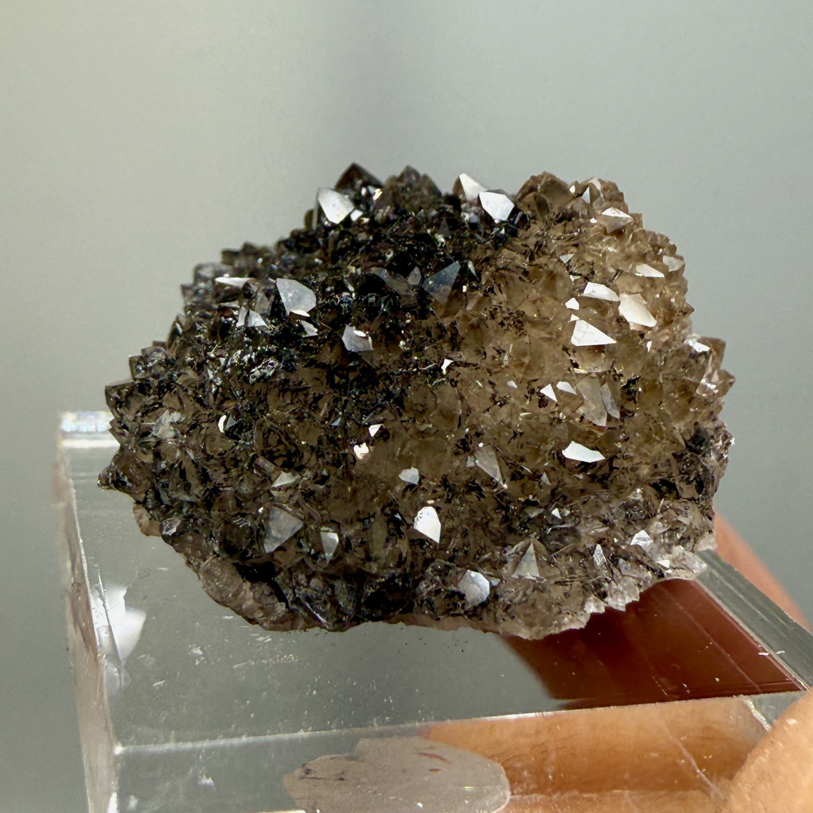 Herkimer Diamond Black + Gray Druze, Gemmy Points w/ Hydrocarbon, Rare Matrix
