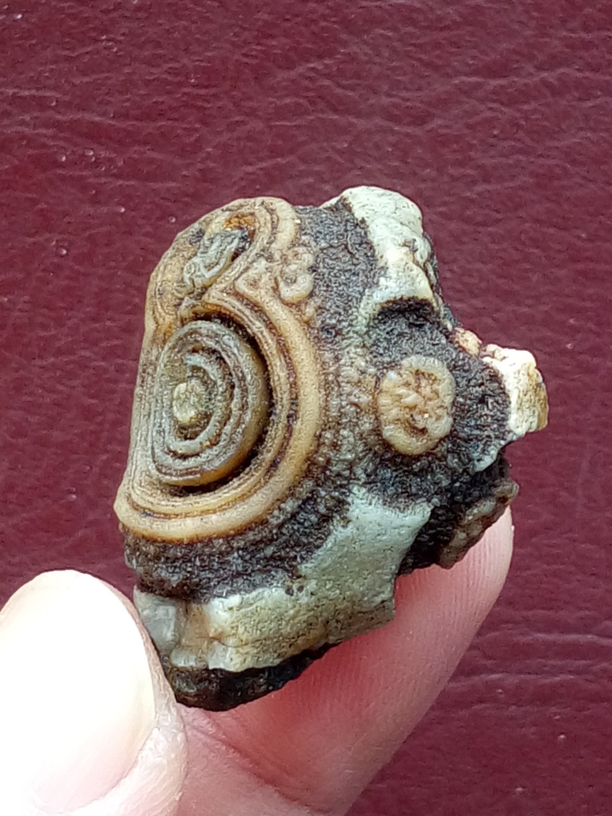 34mm Natural agate Gobi agate eye agate cute collection