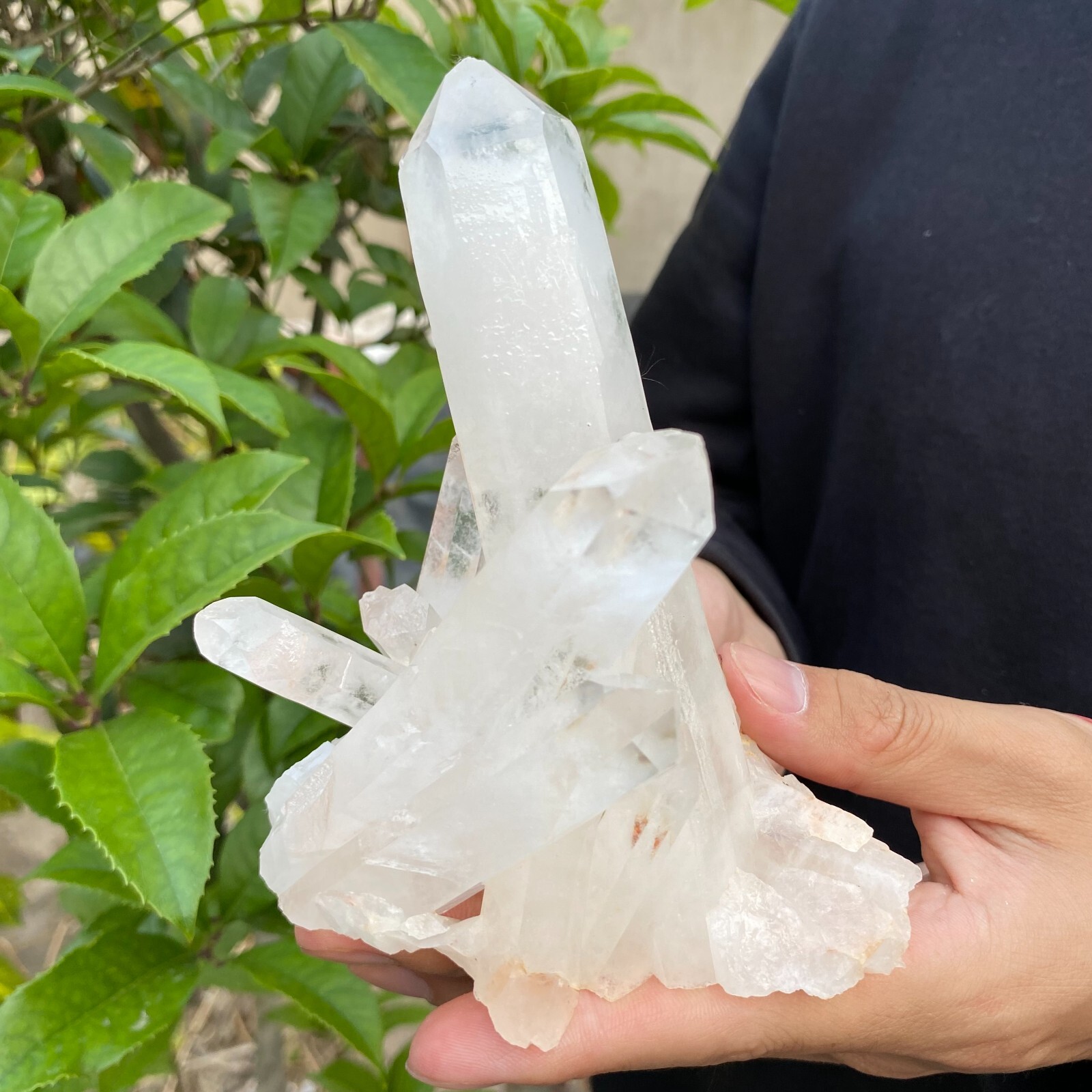 1.1lb Natural Clear White quart Crystal Cluster Raw Healing Specimen