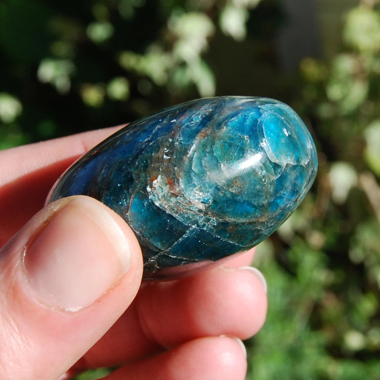 ONE Natural Gemmy Apatite Crystal Palm Stone, Madagascar