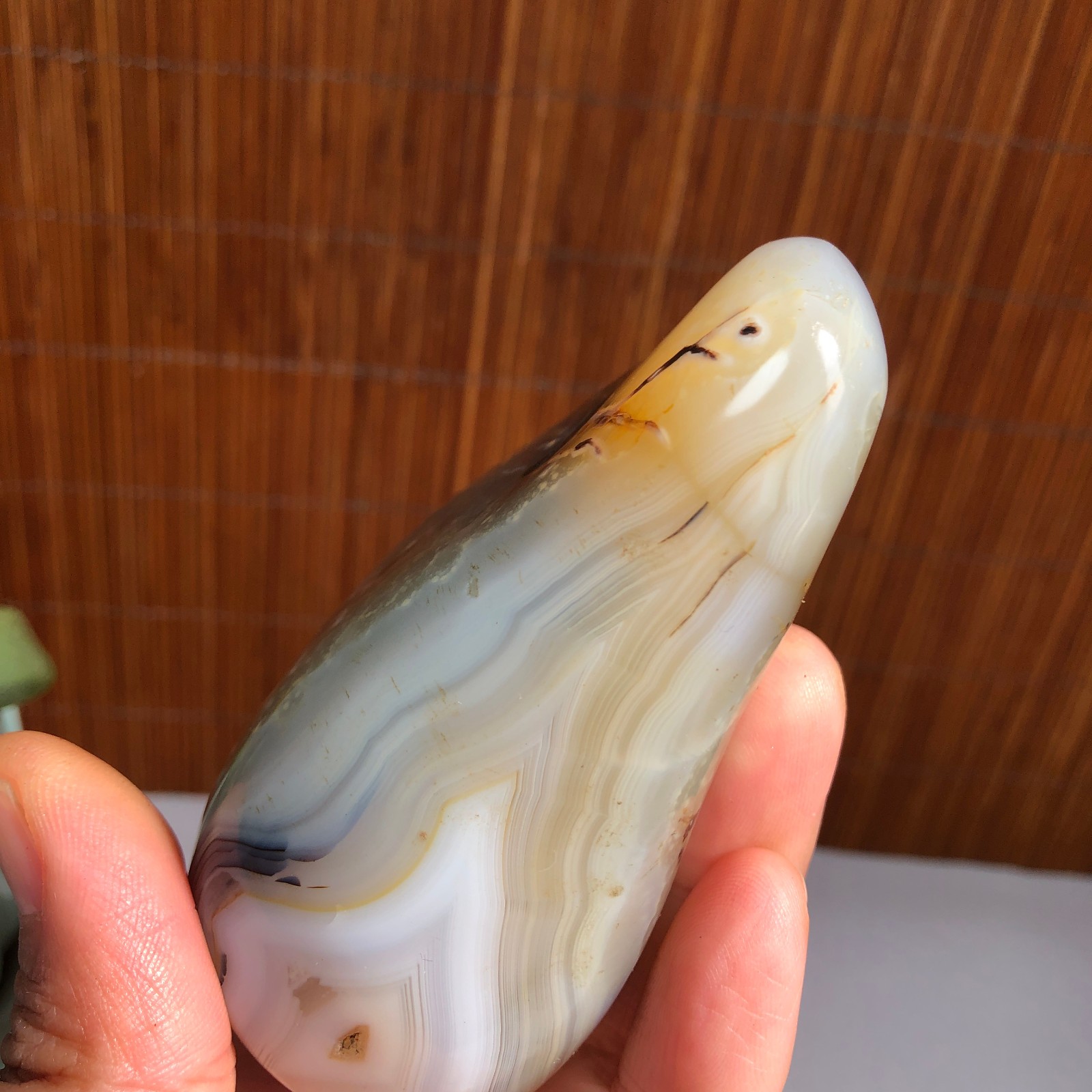 80mm Natural aquatic plants agate pretty Crystal specimens 235g A1485