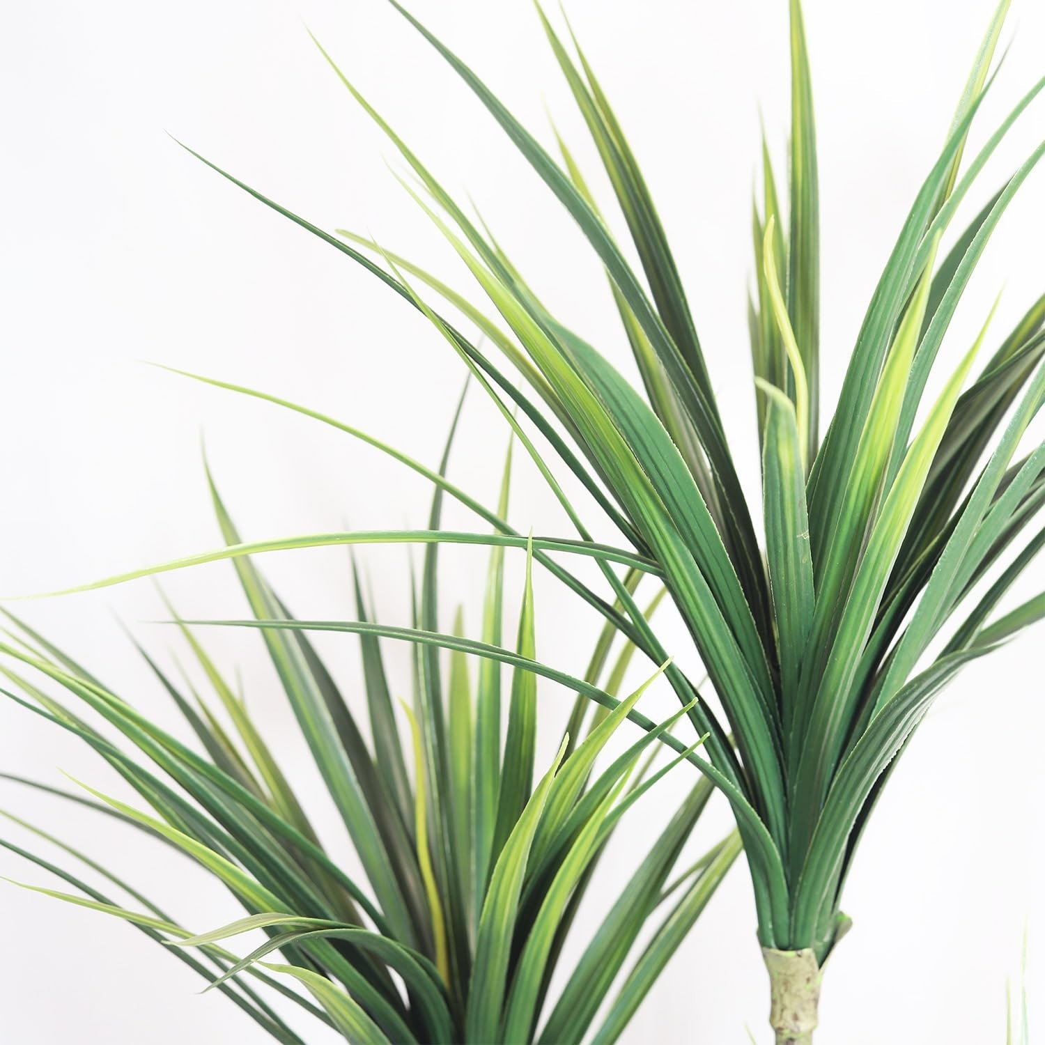 5FT Artificial Dracaena Tree: Realistic Fake Plant with White Planter – Lifel…