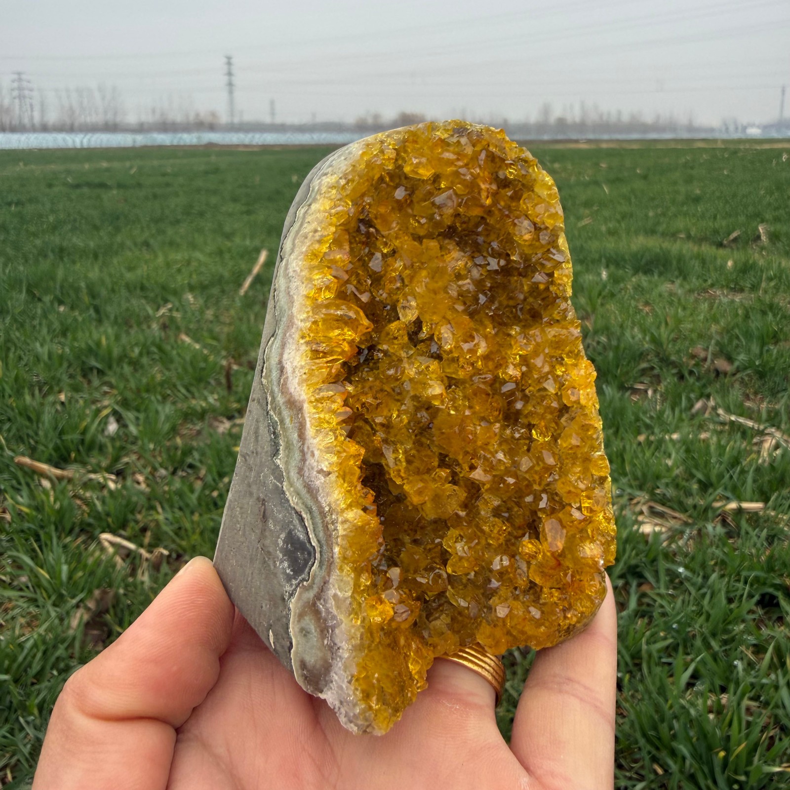1LB citrine geode quartz cluster crystal specimen Healing random 1pc