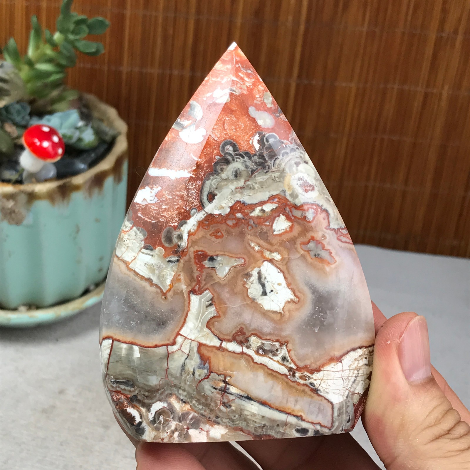 Natural money Mexico agate hand carve leaf Crystal Specimen free standing A6257