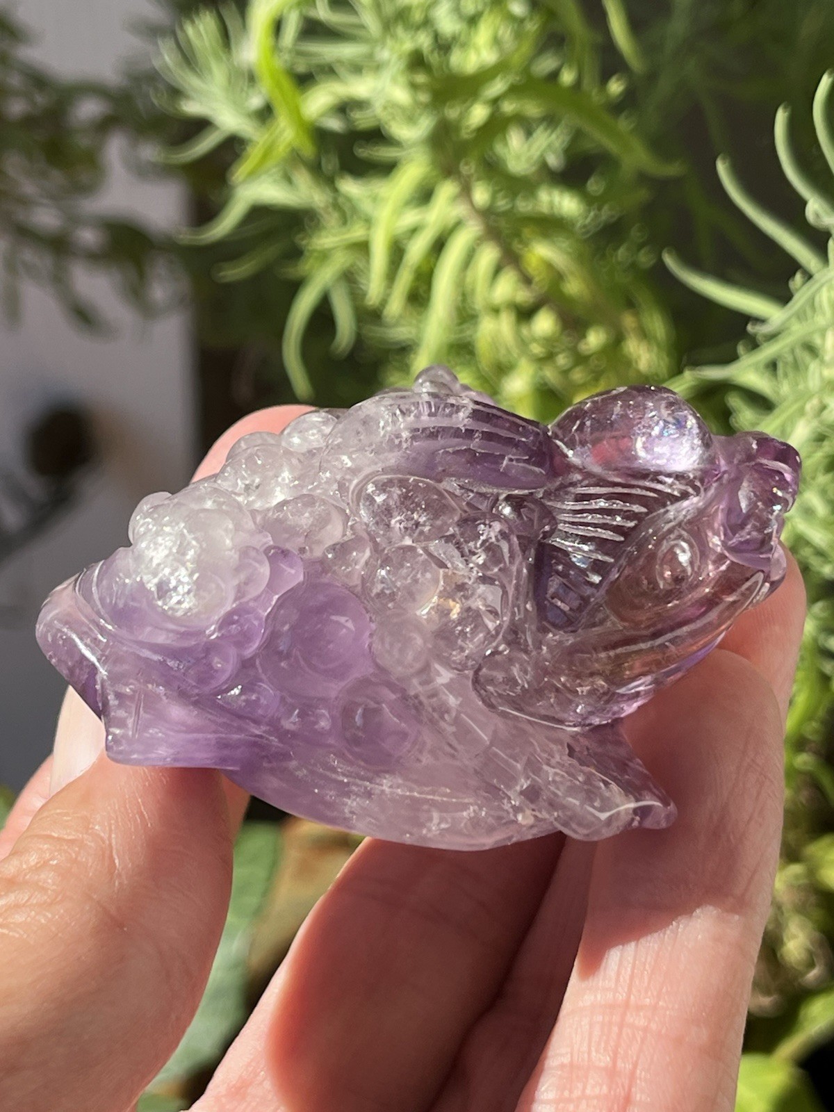 Ametrine Money Toad