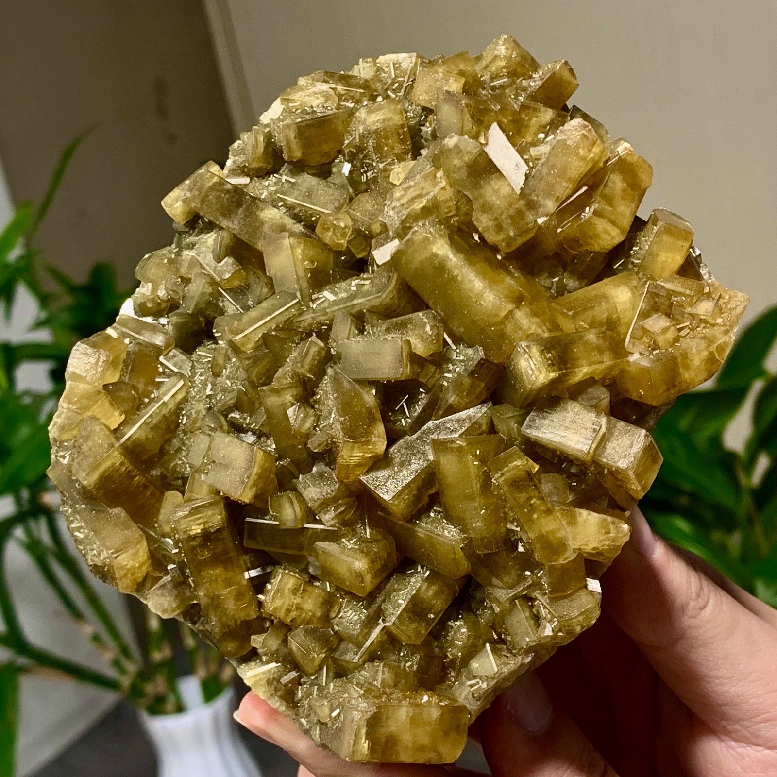 2.82LB Shiny Golden Cuboid Barite Crystal Based on the Purple Spherical Fluorite