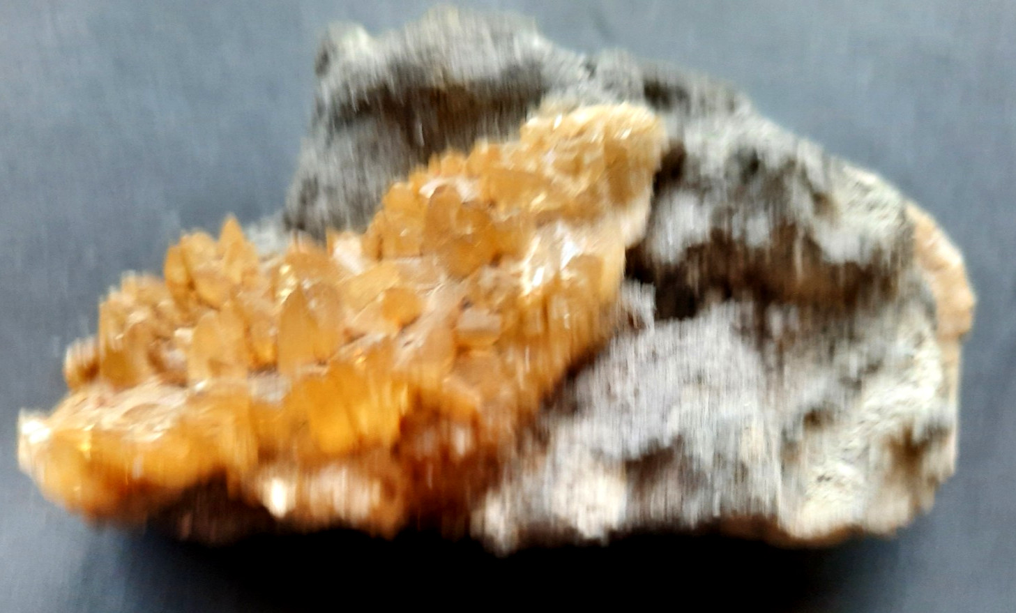Golden Yellow Honey Calcite Crystals on Fossil Mangrove Clam Shell Rucks Pit