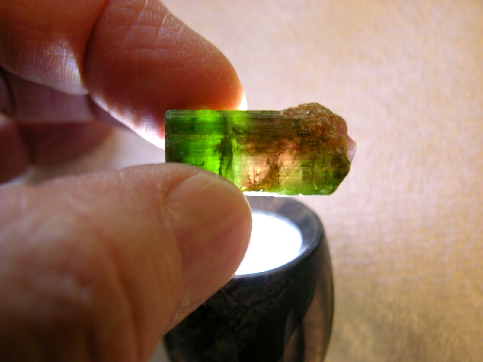 Tourmaline watermelon crystal terminated 30x13mm 49 carats