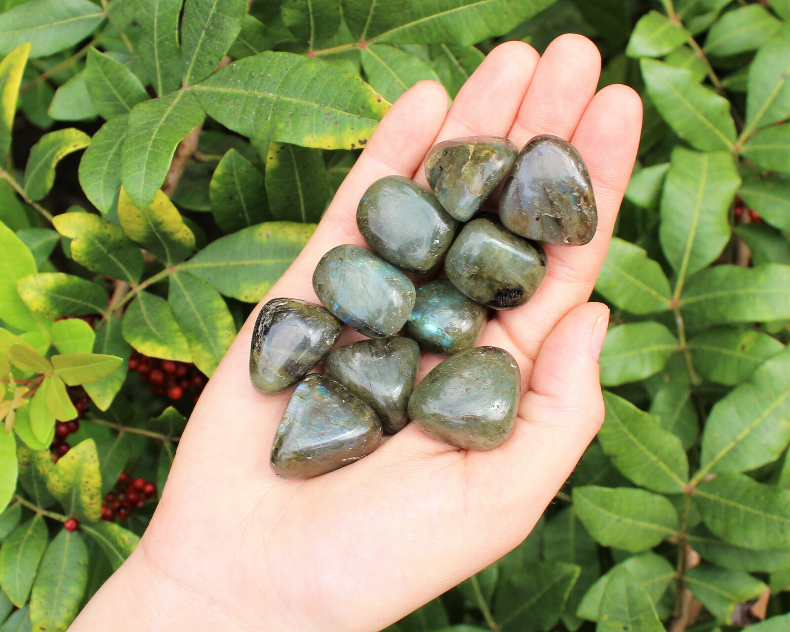 5 Labradorite Tumbled Stone (Crystal Healing Reiki Gemstone)