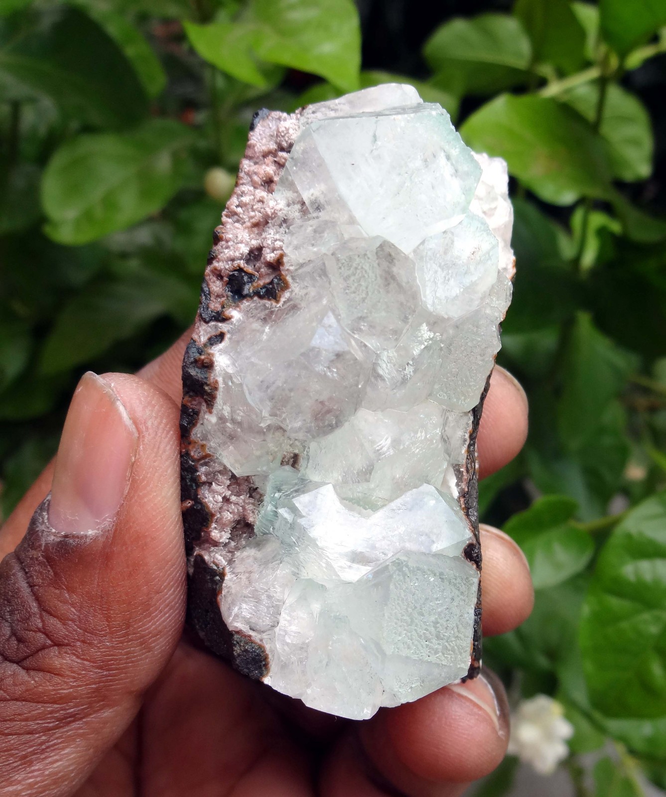 apophyllite crystals & matrix minerals specimen j-7