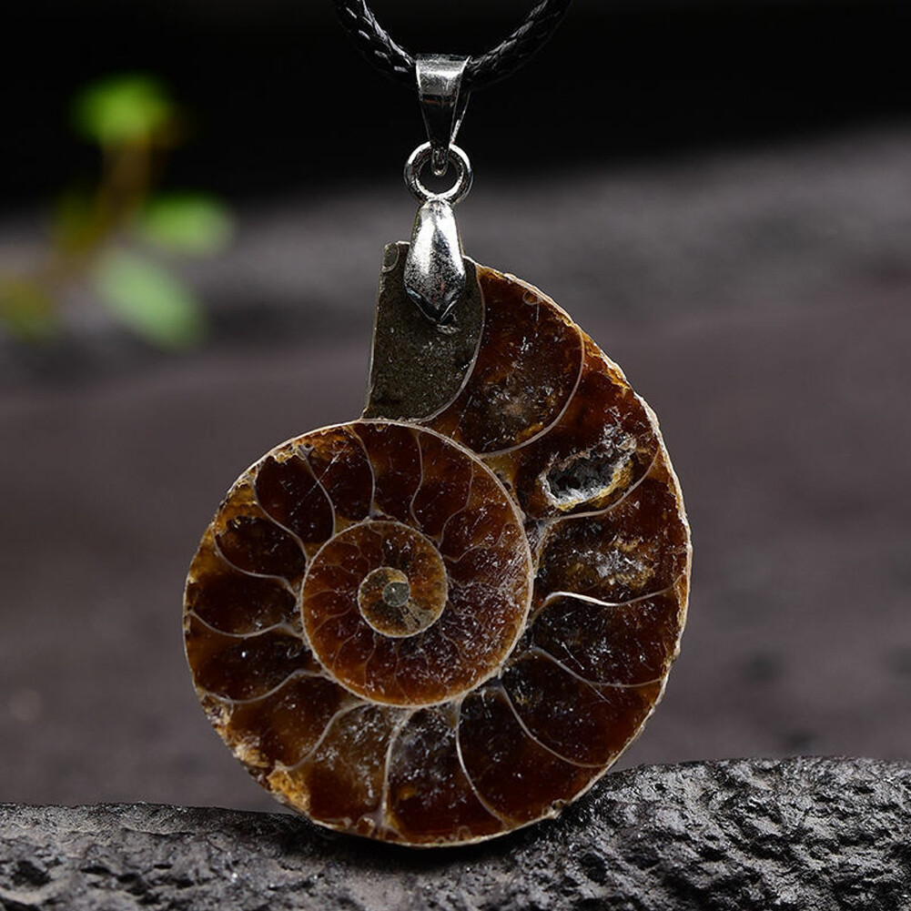 5PCS Natural Conch Fossil Quartz Crystal Pendant healing Mineral Necklace Decor