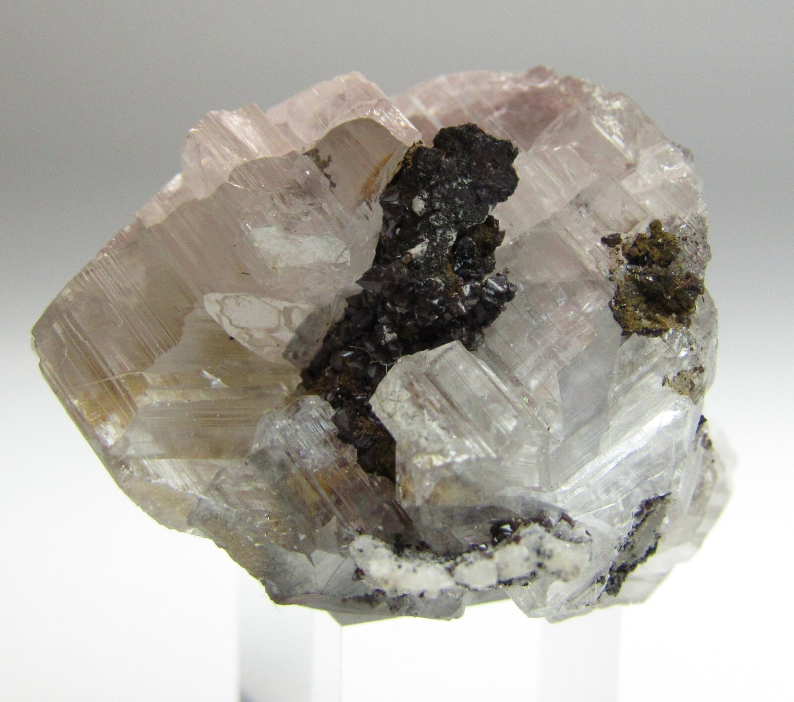 MAGNIFICENT STAR SHAPE CERUSSITE SIXLING CRYSTAL!!! TSUMEB MINE NAMIBIA