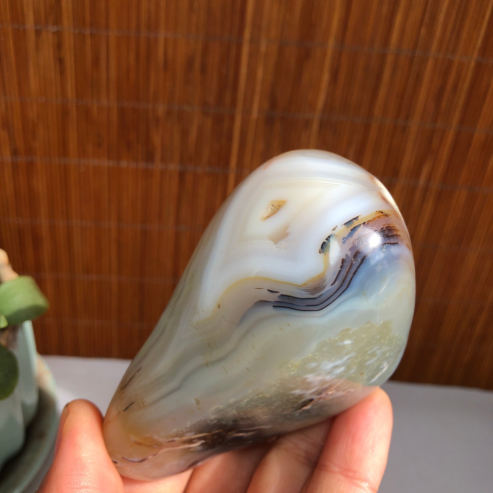 80mm Natural aquatic plants agate pretty Crystal specimens 235g A1485