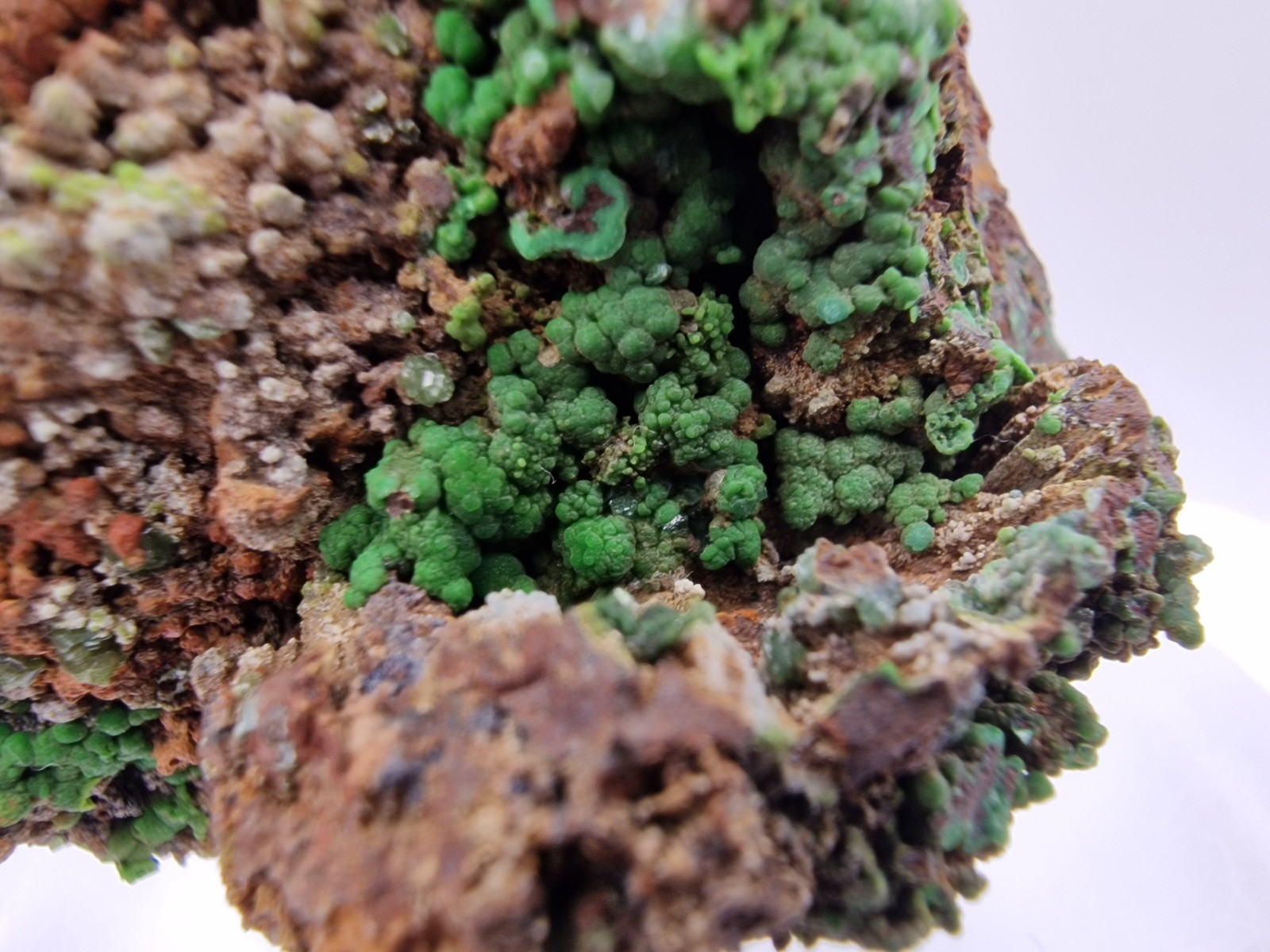 Conichalcite crystals From Lavrion , Greece