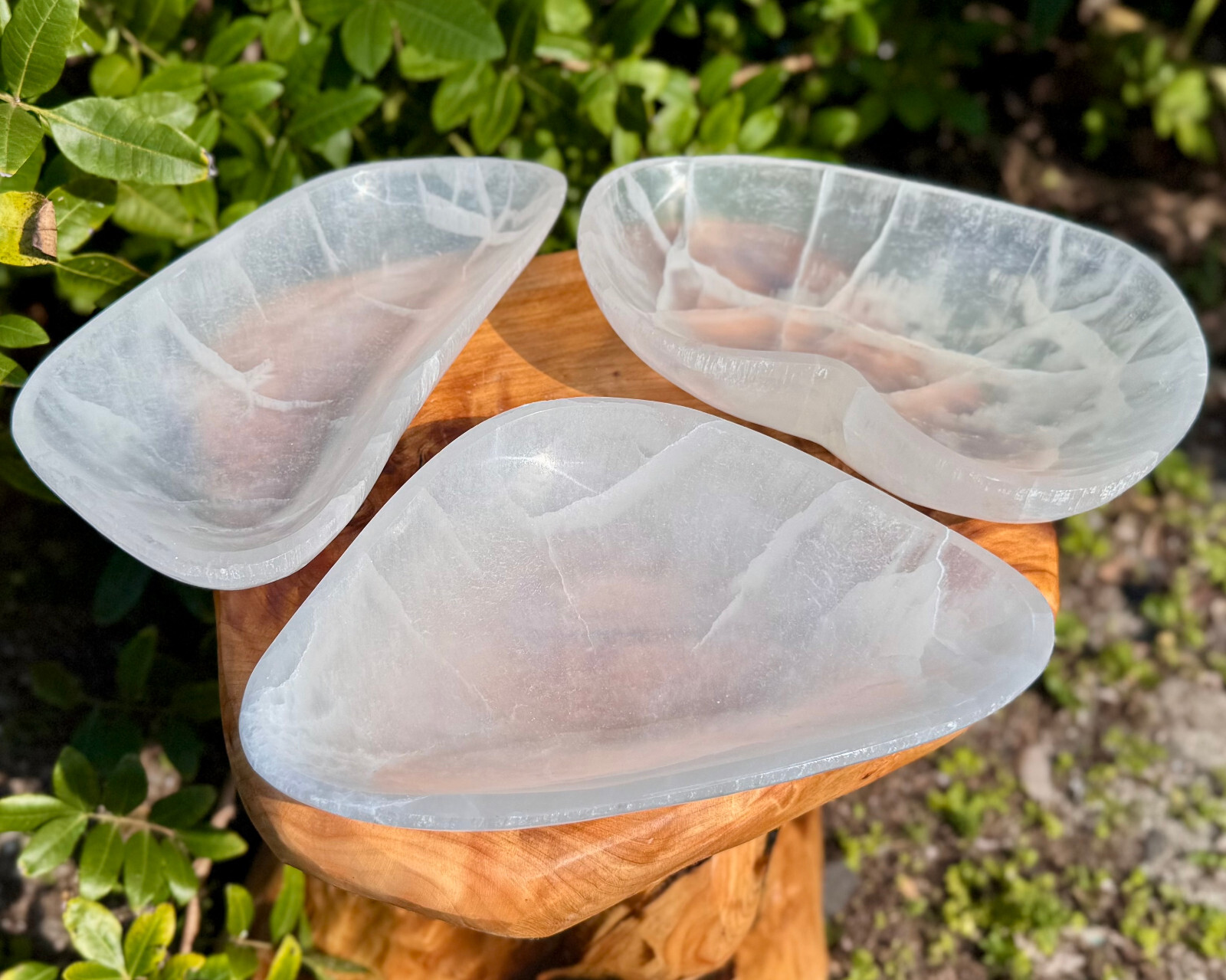 HUGE 10″ Selenite Free Form Charging Bowls (Selenite Crystal Bowl,Selenite Bowl)