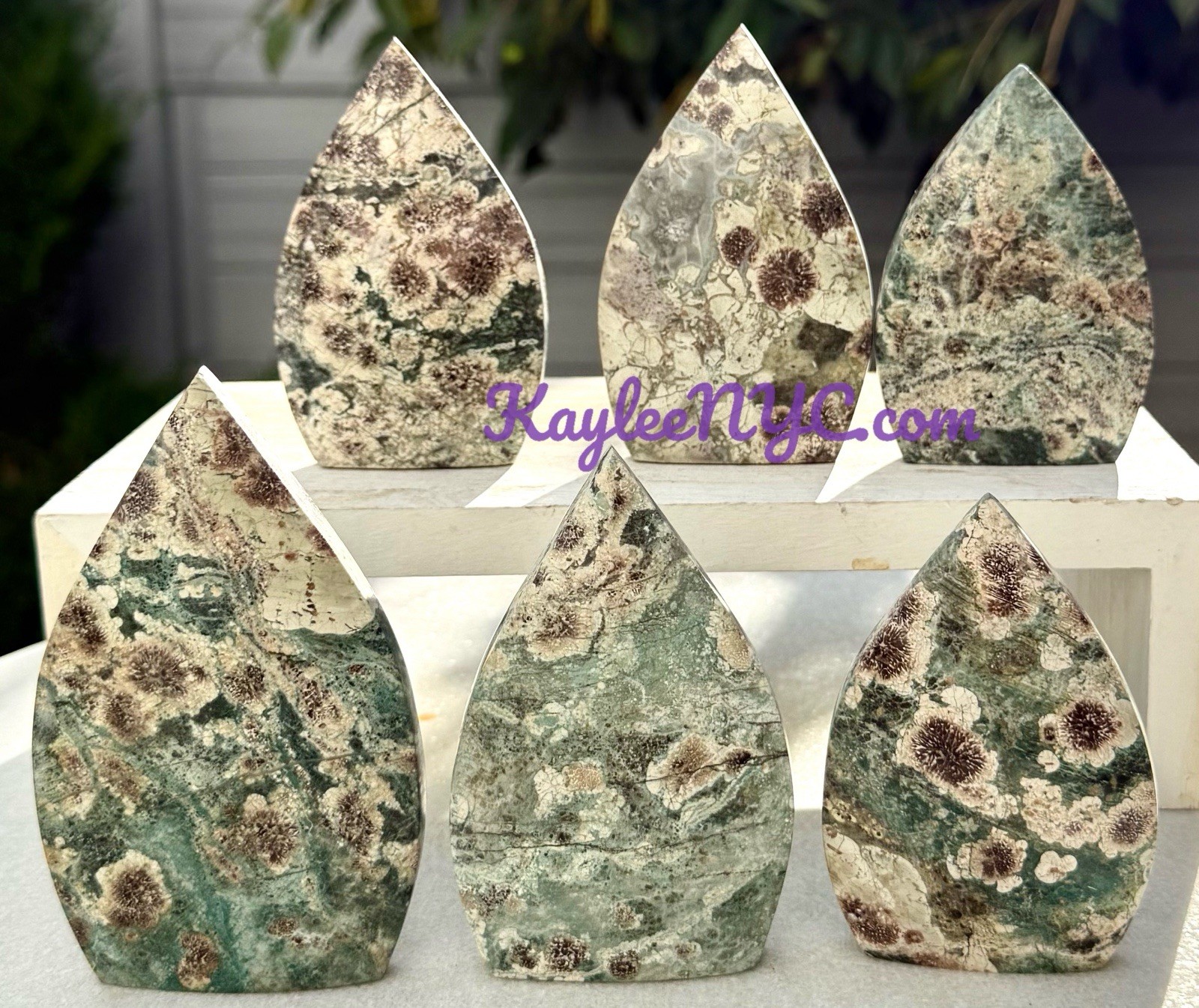 Wholesale Lot 6-7 PCs Natural Green Flower Jasper Freeform Crystal