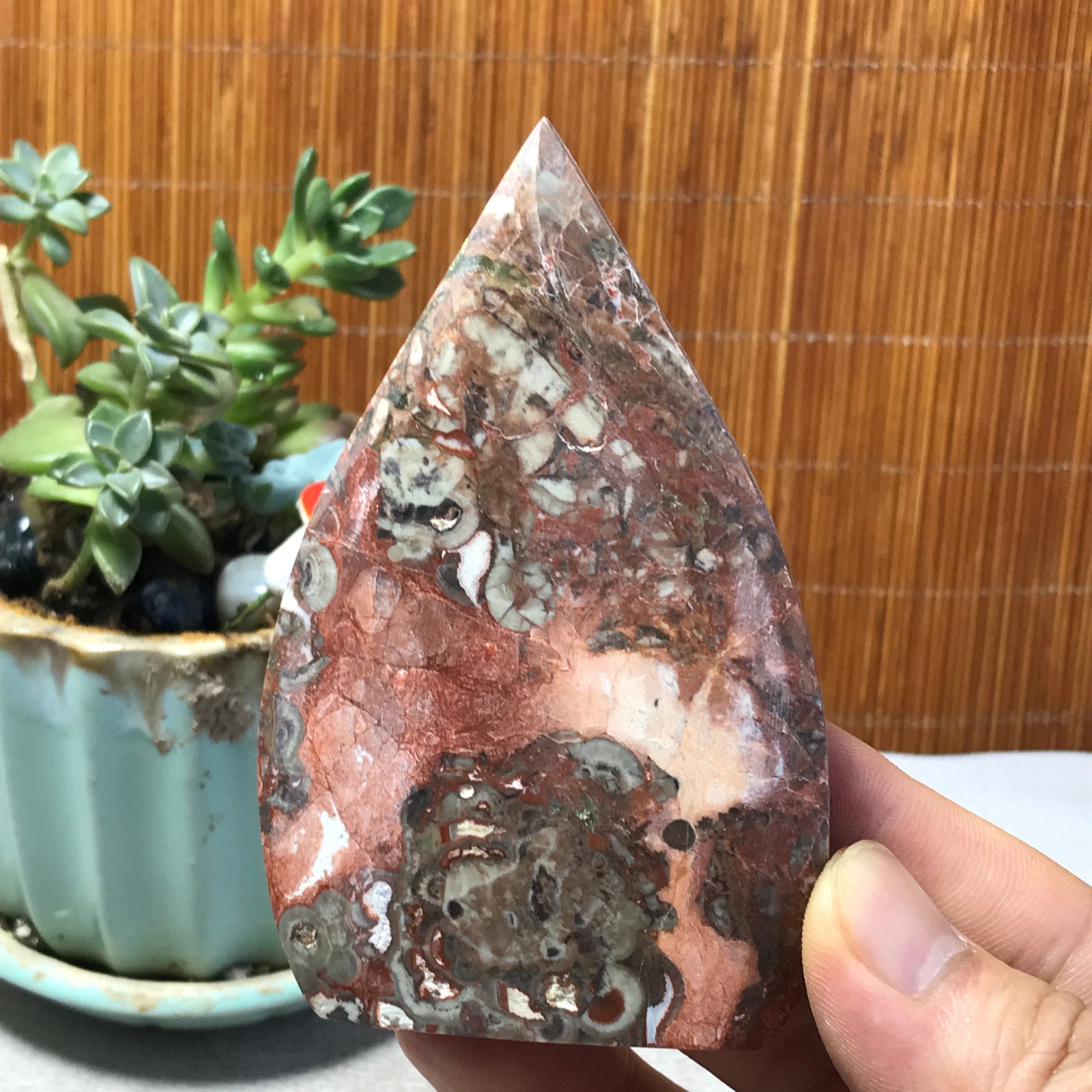 Natural money Mexico agate hand carve leaf Crystal Specimen free standing A6498