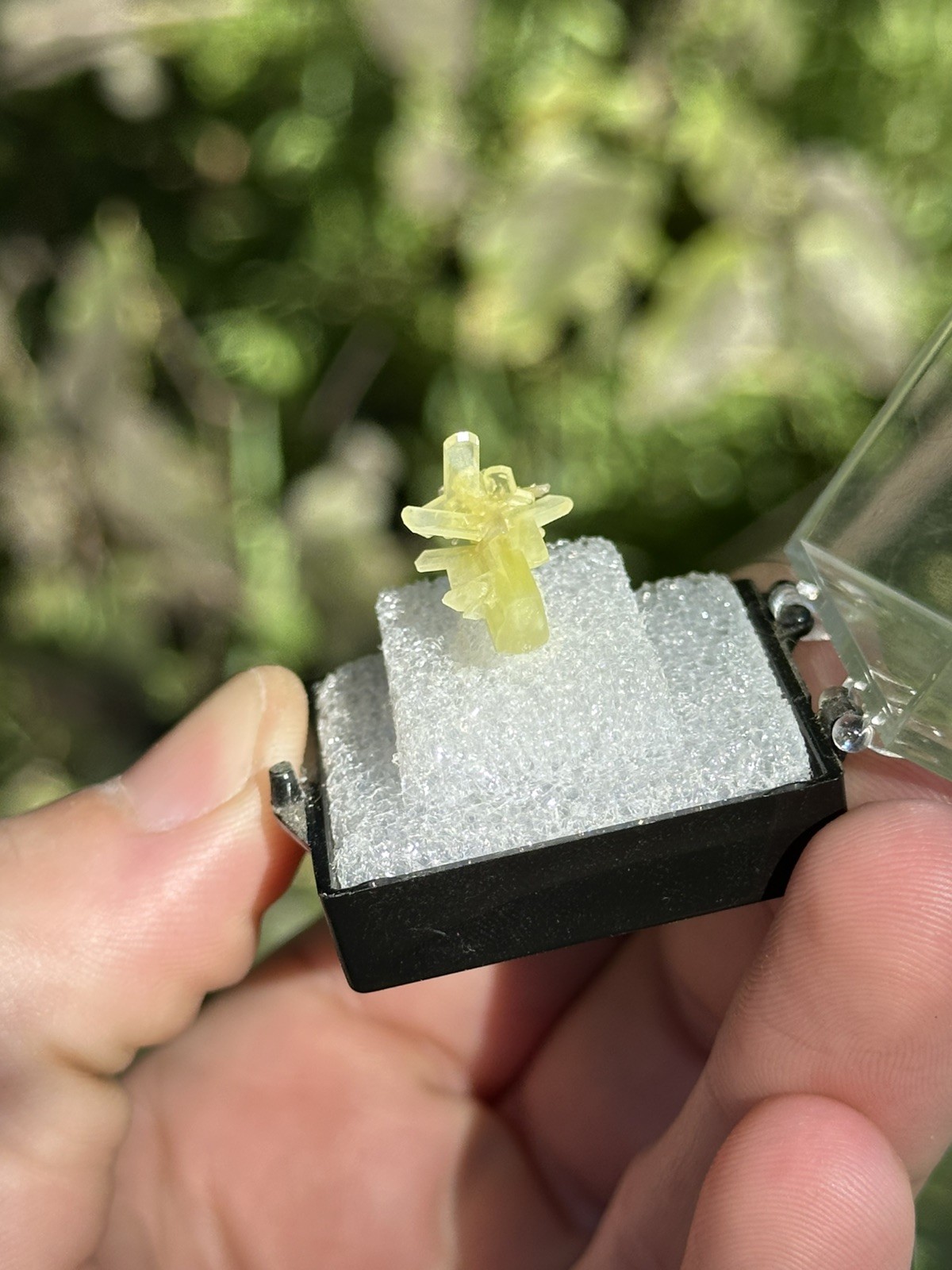 Chrome Cerussite, Dundas Extended, Tasmania, Australia. Ex Jordi Fabre