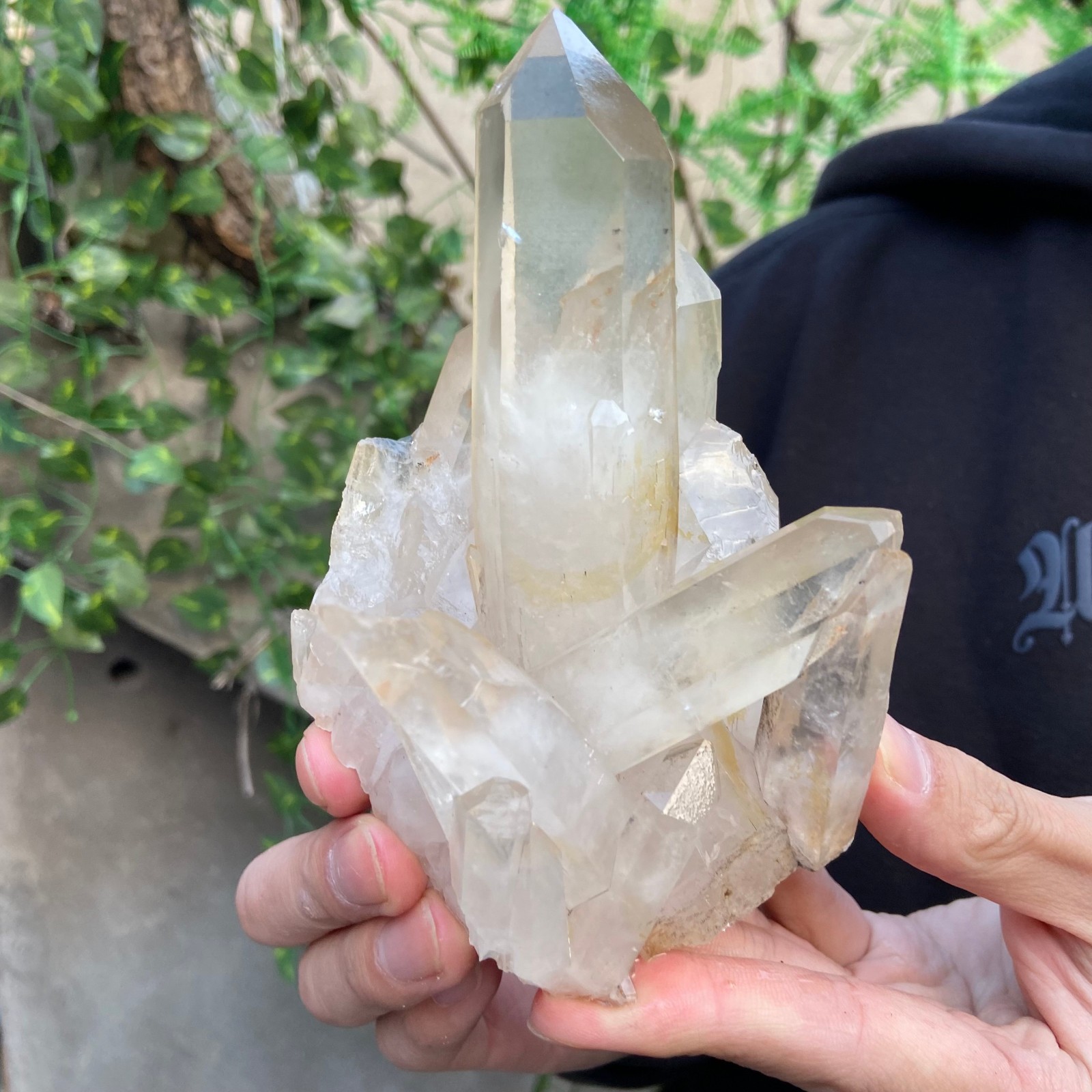 1.5lb Natural Clear White Quartz Crystal Cluster Rough Healing Specimen
