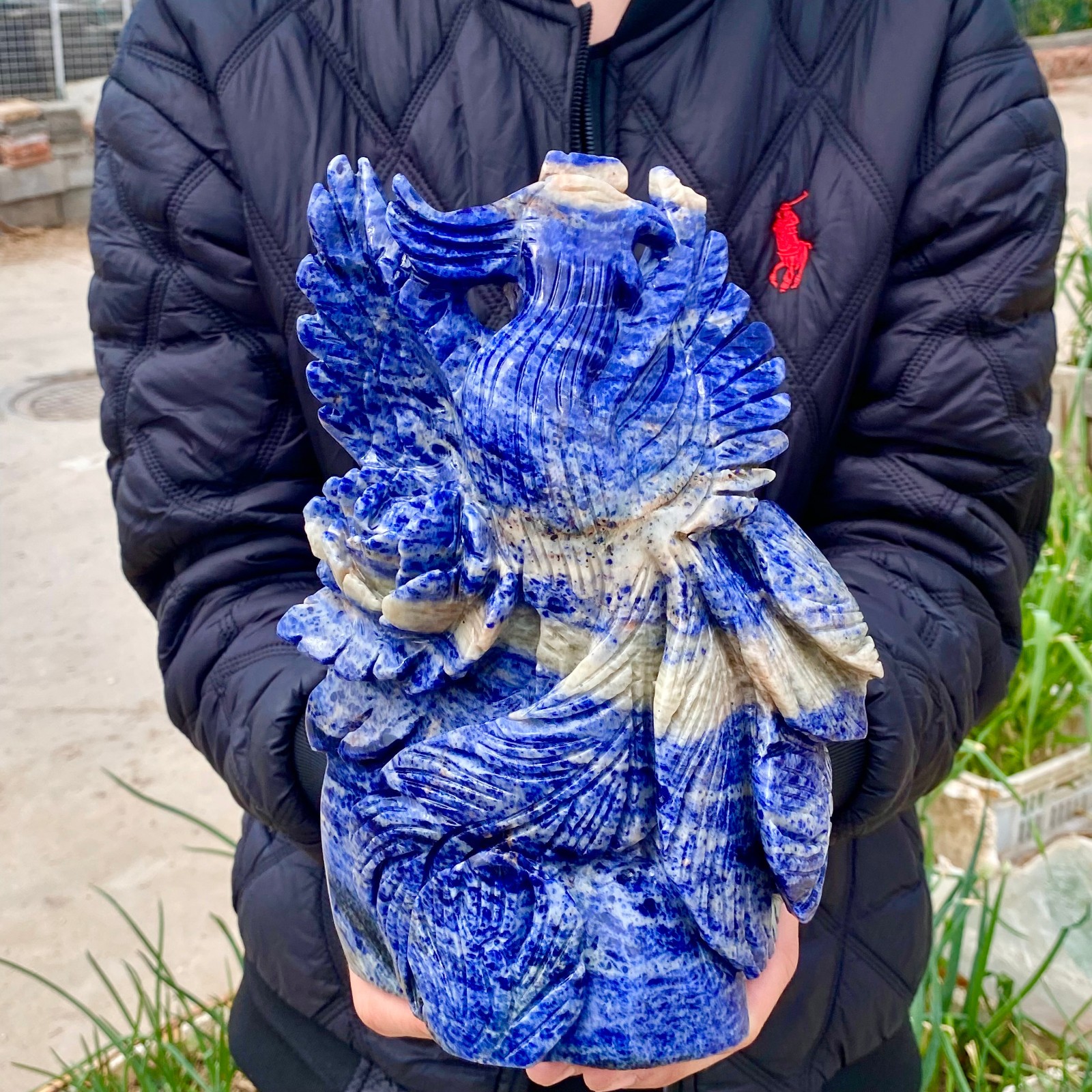 7LB Natural Blue Texture Crystal Carving Phoenix Rose Spiritual Energy