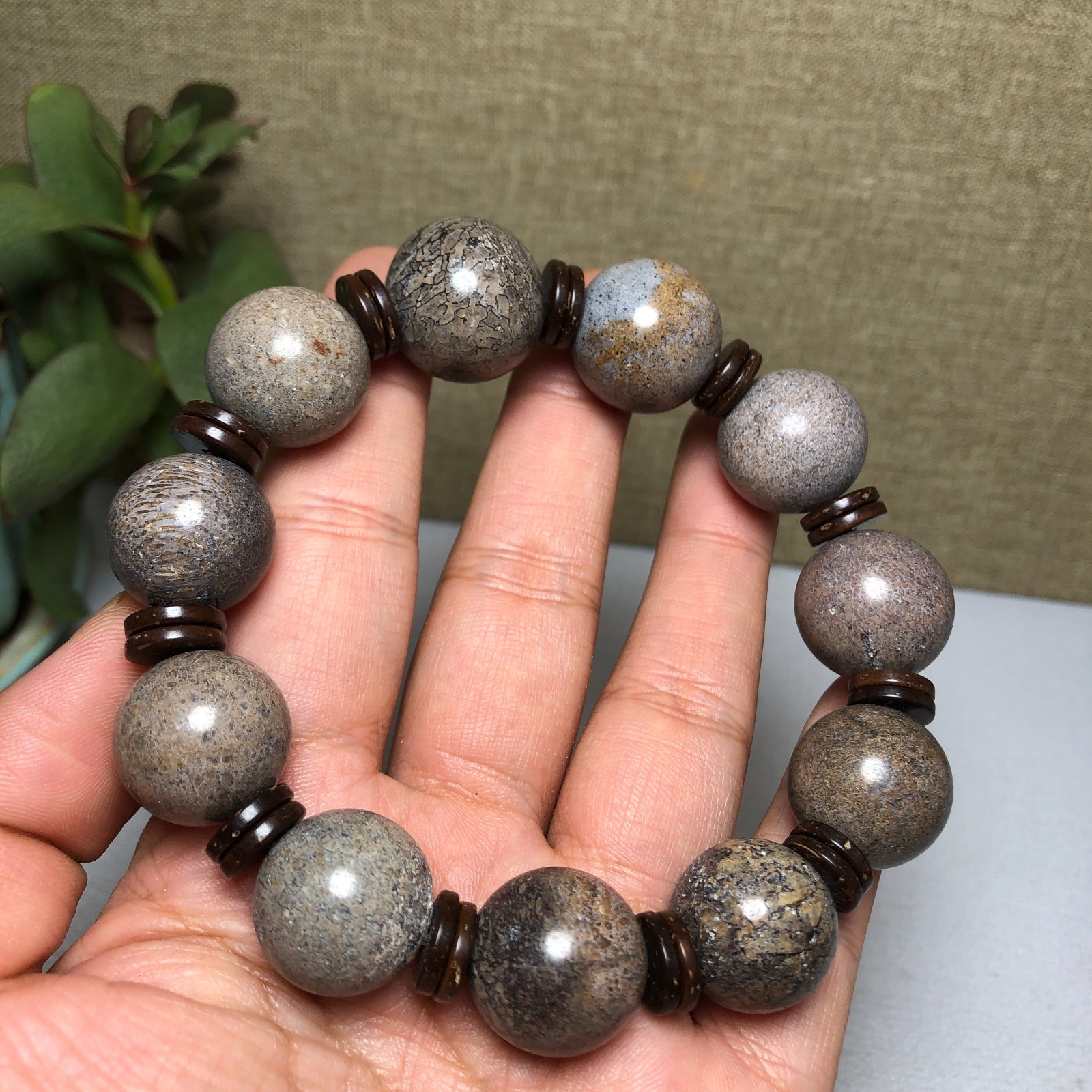 Top! Natural polished dinosaur bone bracelets specimen Madagascar 18mm A1005