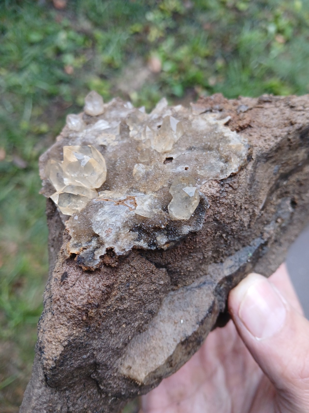 “Gorgeous 😍 Golden Healer” Herkimer💎s On Druze Matrix Dolostone Host Rock NY