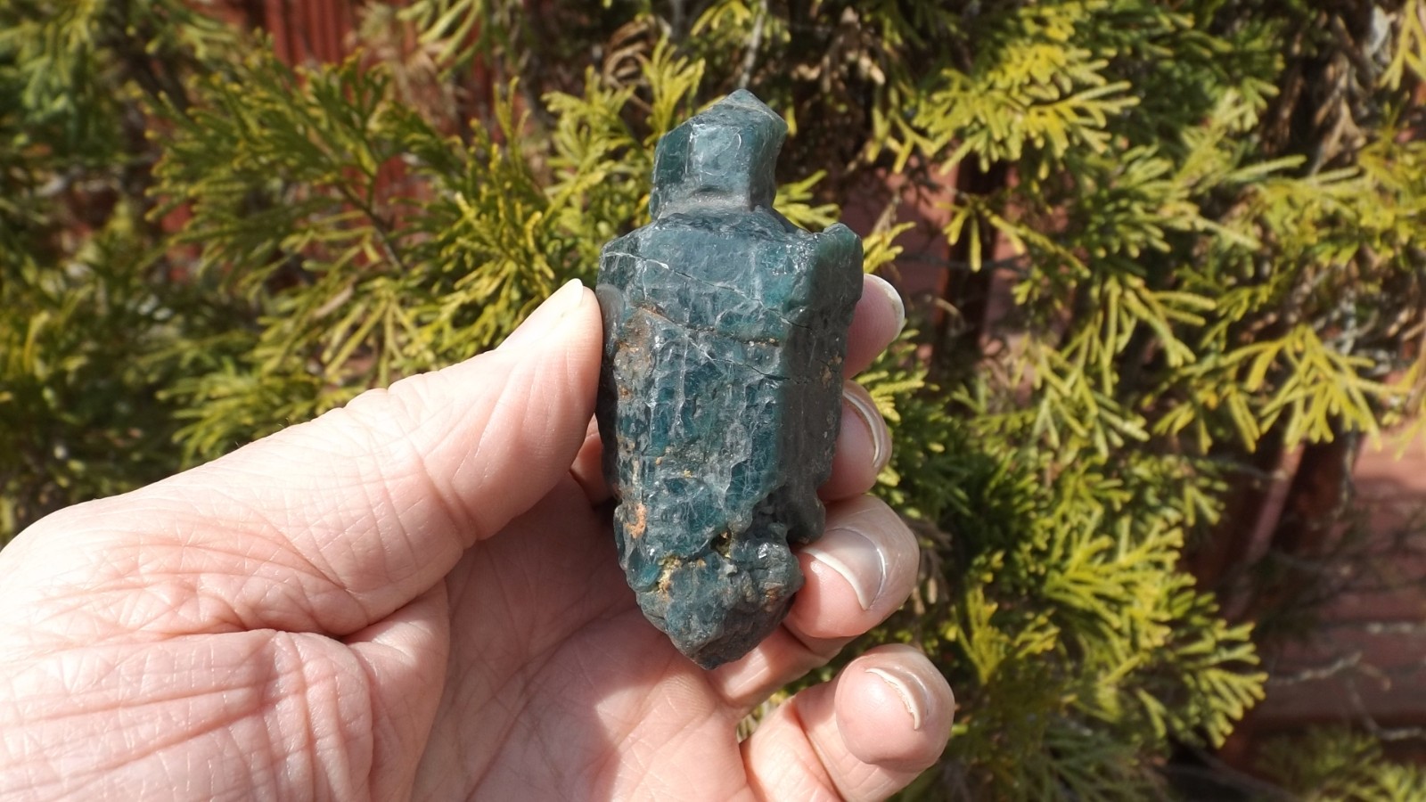 PEACOCK BLUE APATITE CRYSTAL 3″in – 510 carat DOUBLE TERMINATED NATURAL SCEPTER
