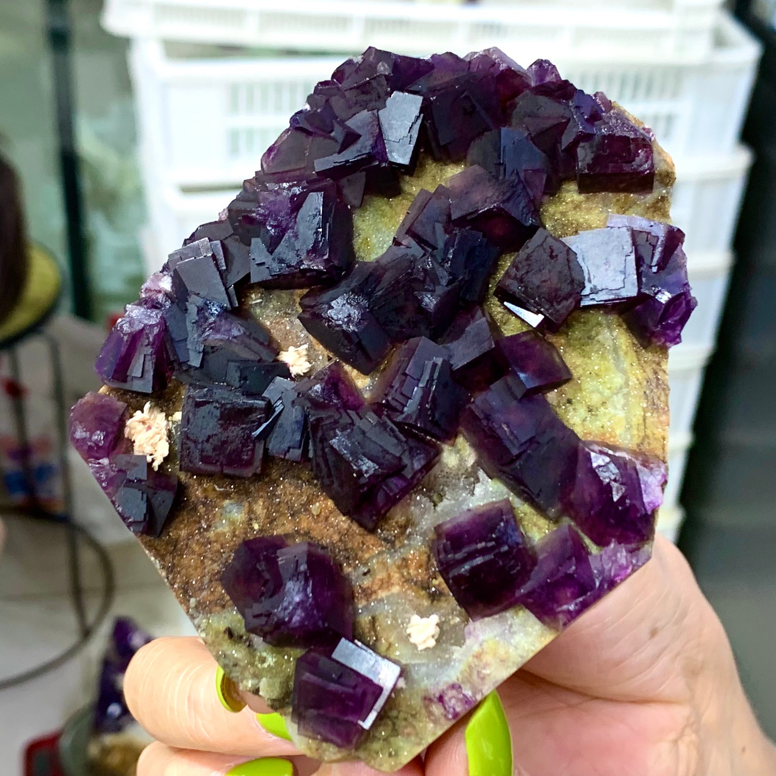 331G Rare Purple cubic fluorite mineral crystal sample/Zhejiang