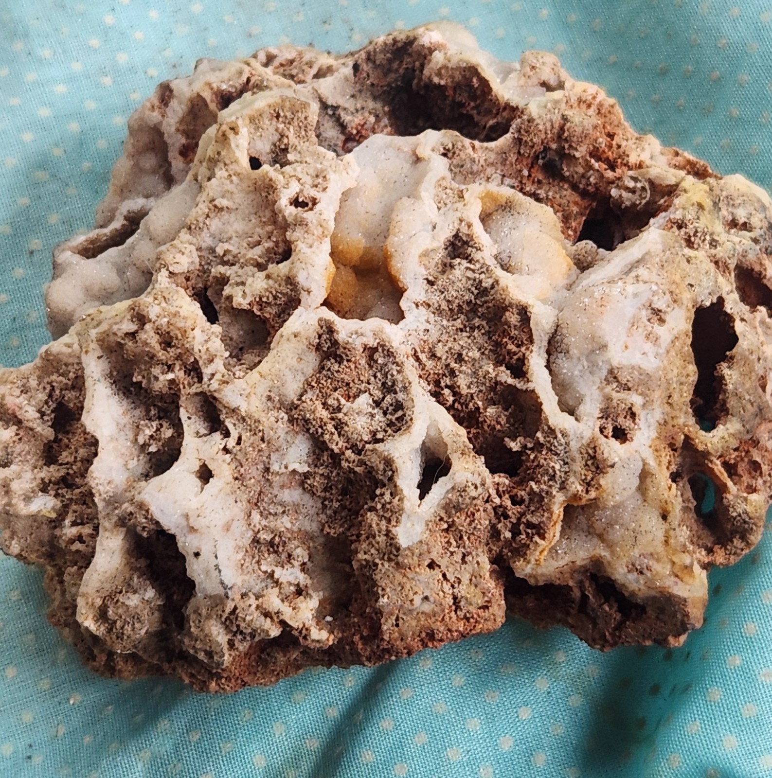 Druzy Quartz Rock Natural Planter Moss Or Succulent Bonne Terre Missouri