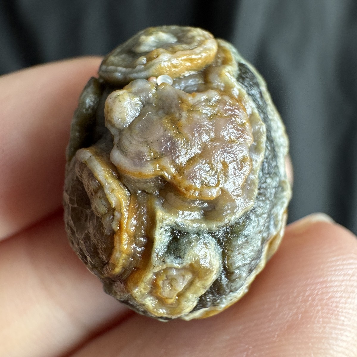 2.4cm/8.3g High Quality Alxa Gobi Desert High Raised-Relief Eye Agate-3212