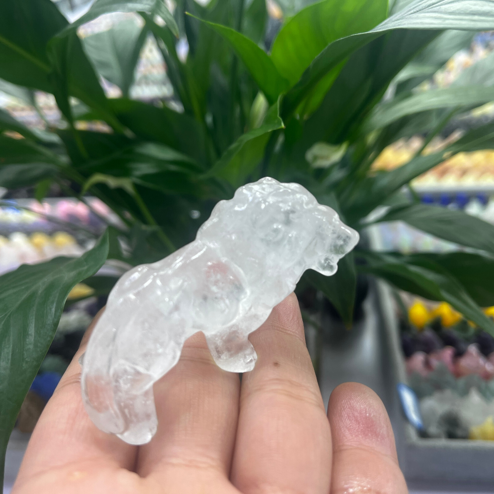 2″Natural clear Quartz Hand Carved Lion Skull Crystal Healing GEM gift decor 1pc