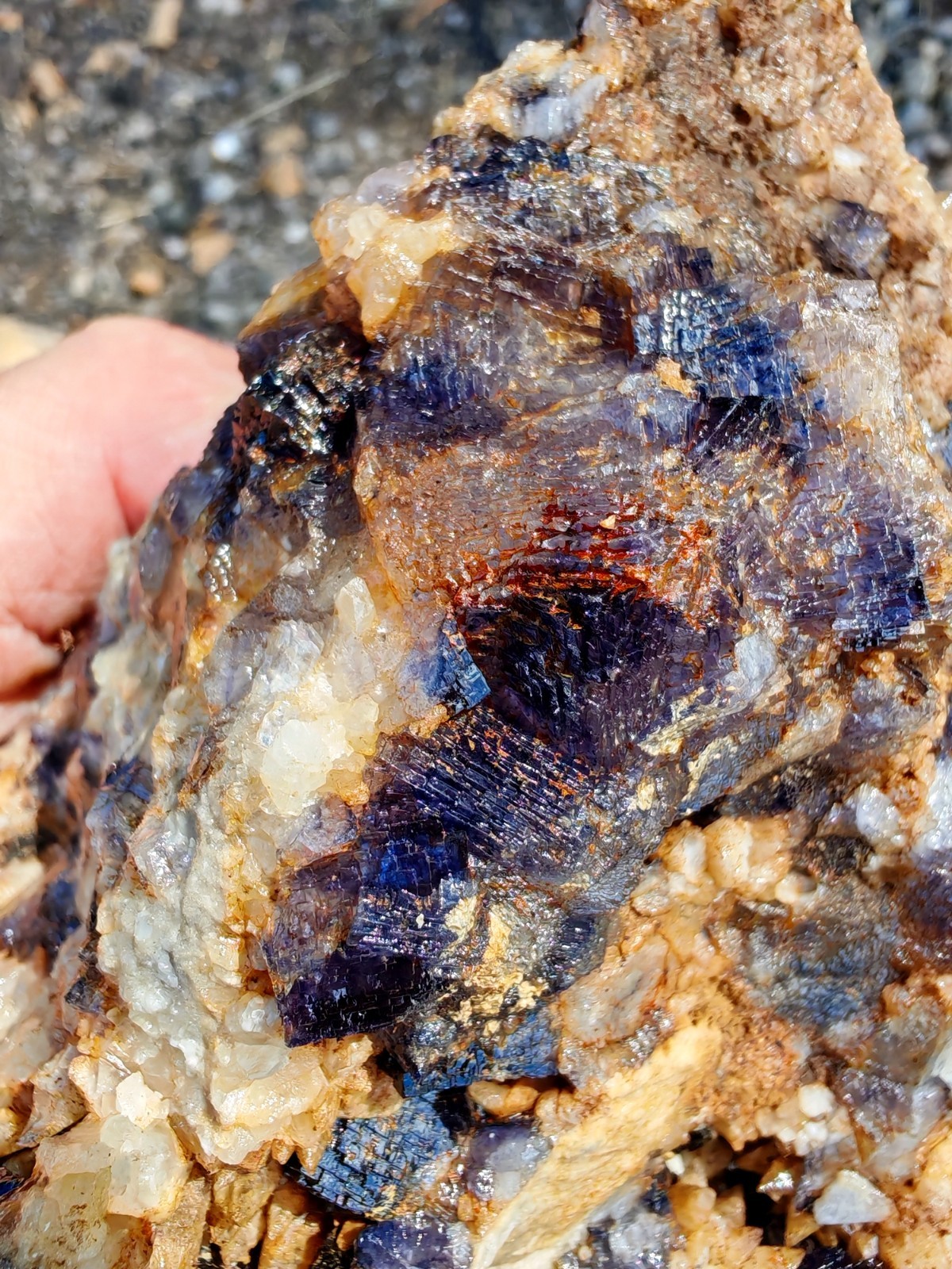 Blue John Fluorite Large Raw Crystal Cluster On Fossil Matrix