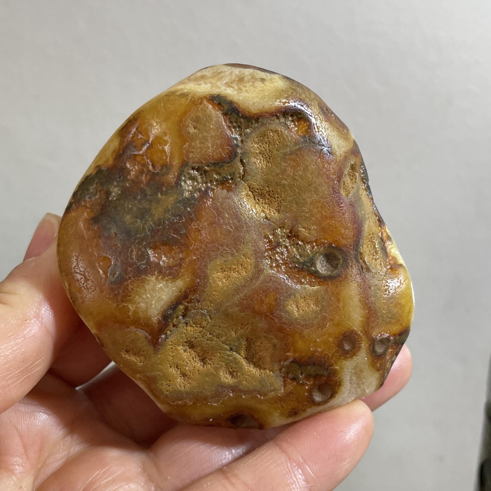 205g Bonsai Suiseki- Gobi Agate Eyes Stone-Rare Stunning Viewing
