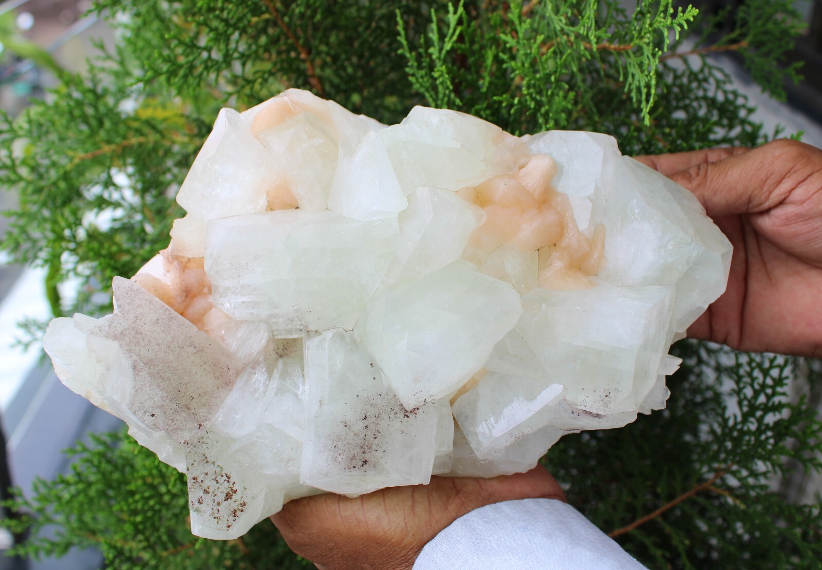 Green Apophyllite Crystals With Stilbite On Matrix Minerals Specimen