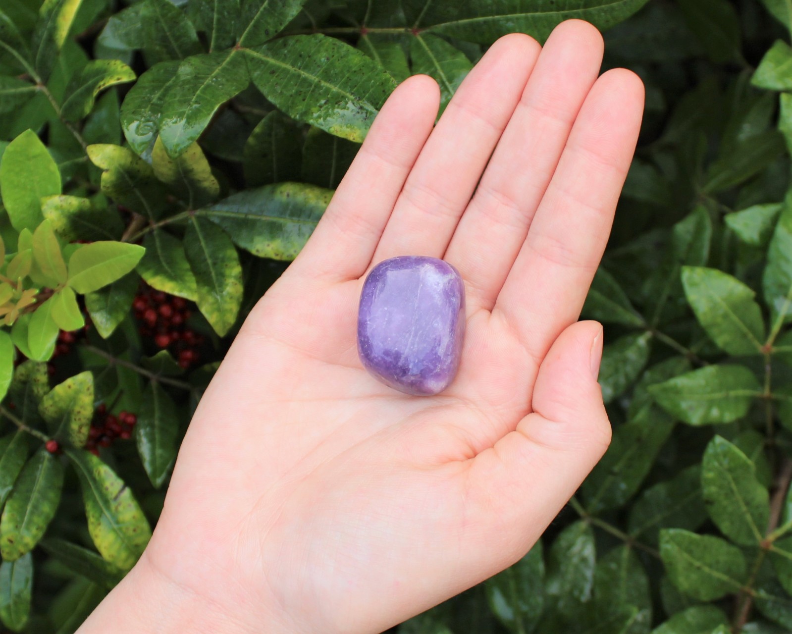 Lepidolite Tumbled Stones: Choose How Many (‘A’ Grade Lepidolite Crystals)