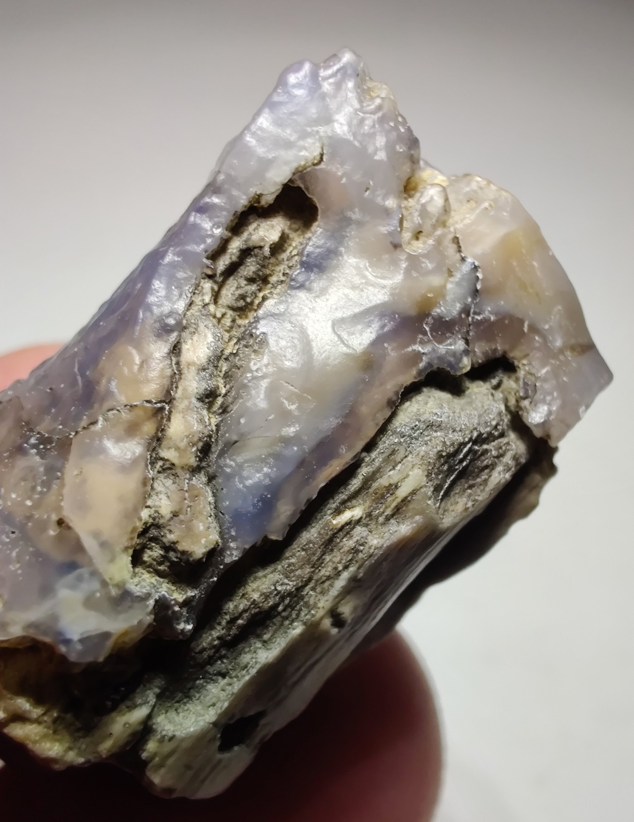 Petrified Wood, Fluorescent. Eden Valley, Wyoming. 20 grams.