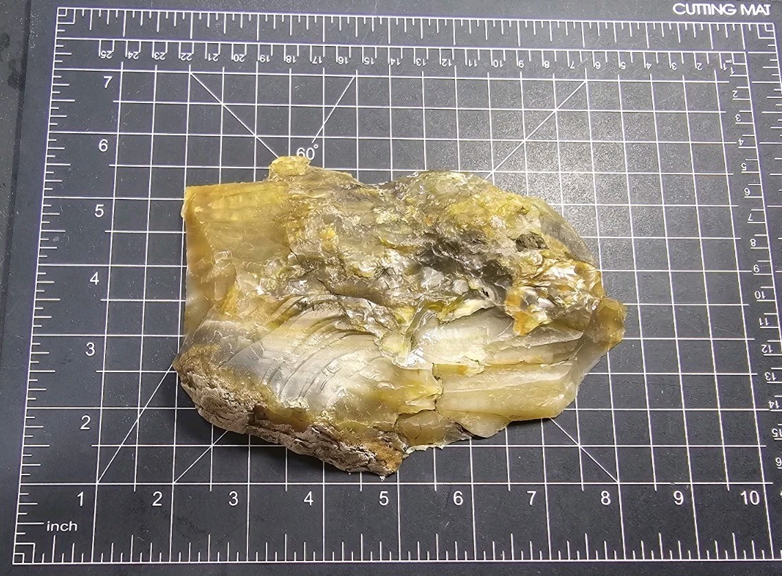 Grassy Mountain Petrified Wood Rough End Cut Rare R