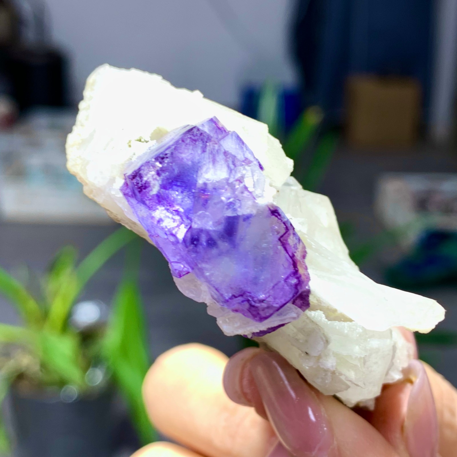 50G Natural transparent purple fluorite coexists with white crystal/Yaogangxian