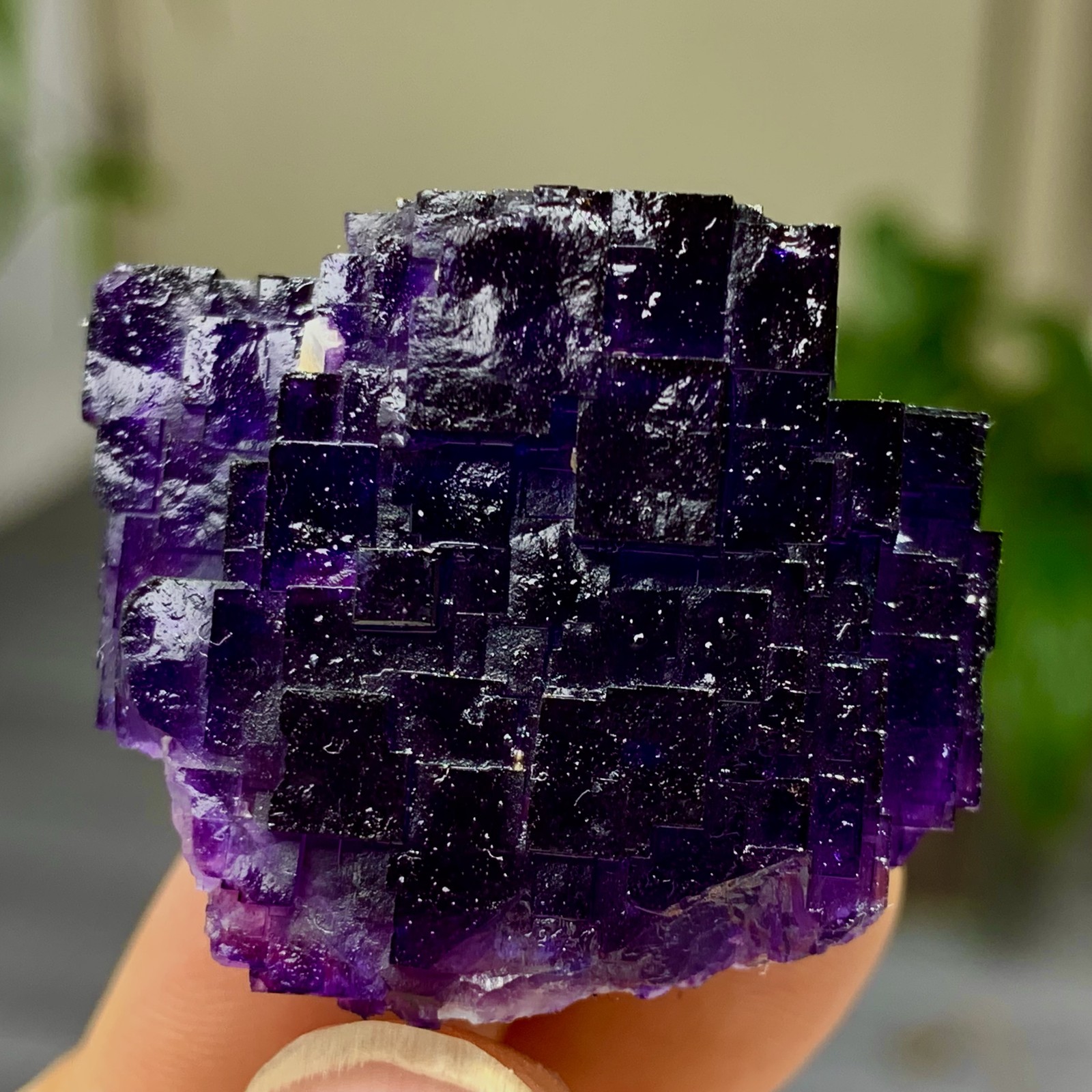 40G Natural purple framed cubic fluorite mineral specimen/Inner Mongolia