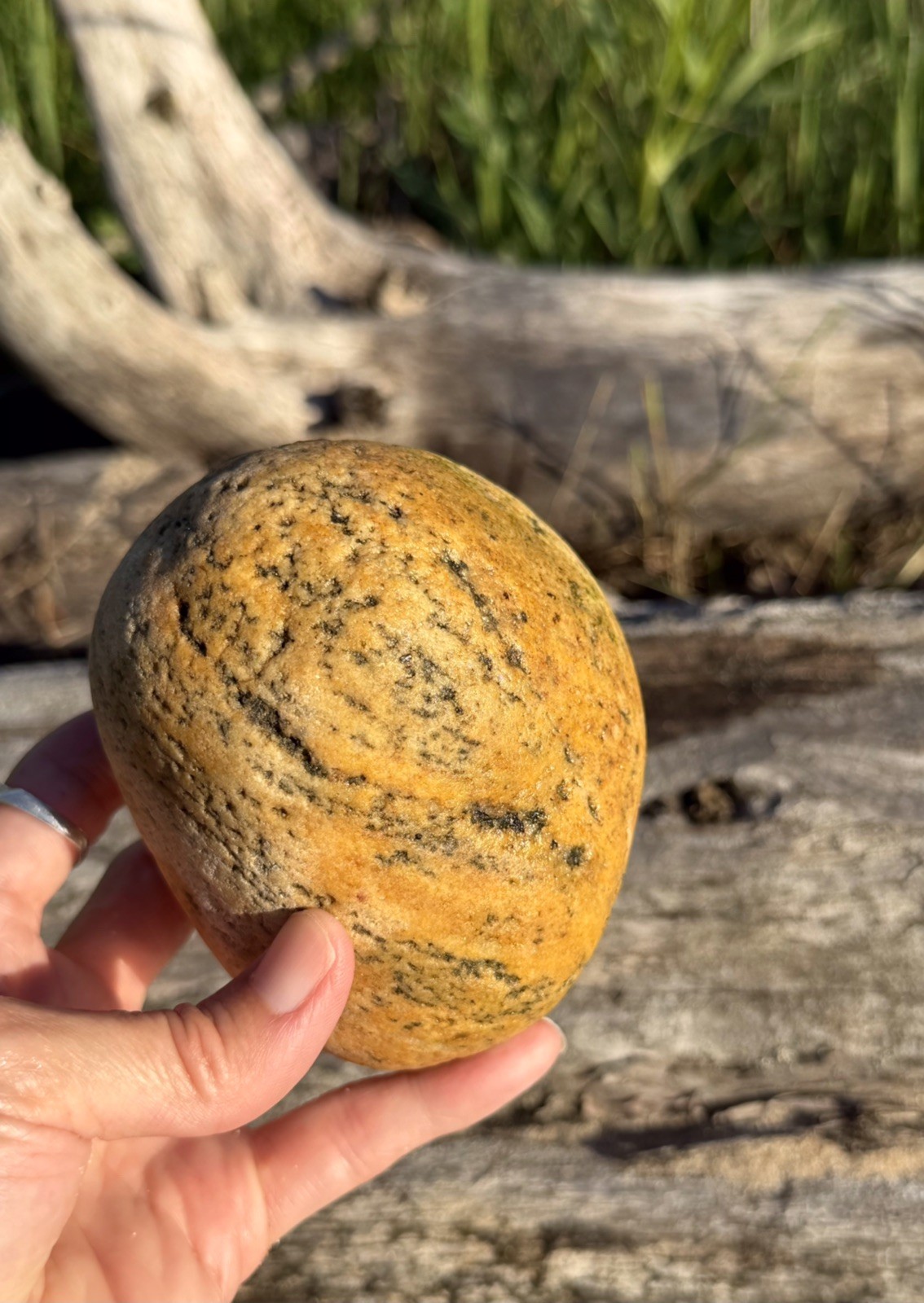 Natural Lake Michigan Rocks Round Honey Speckled Granite LOOK! 👀
