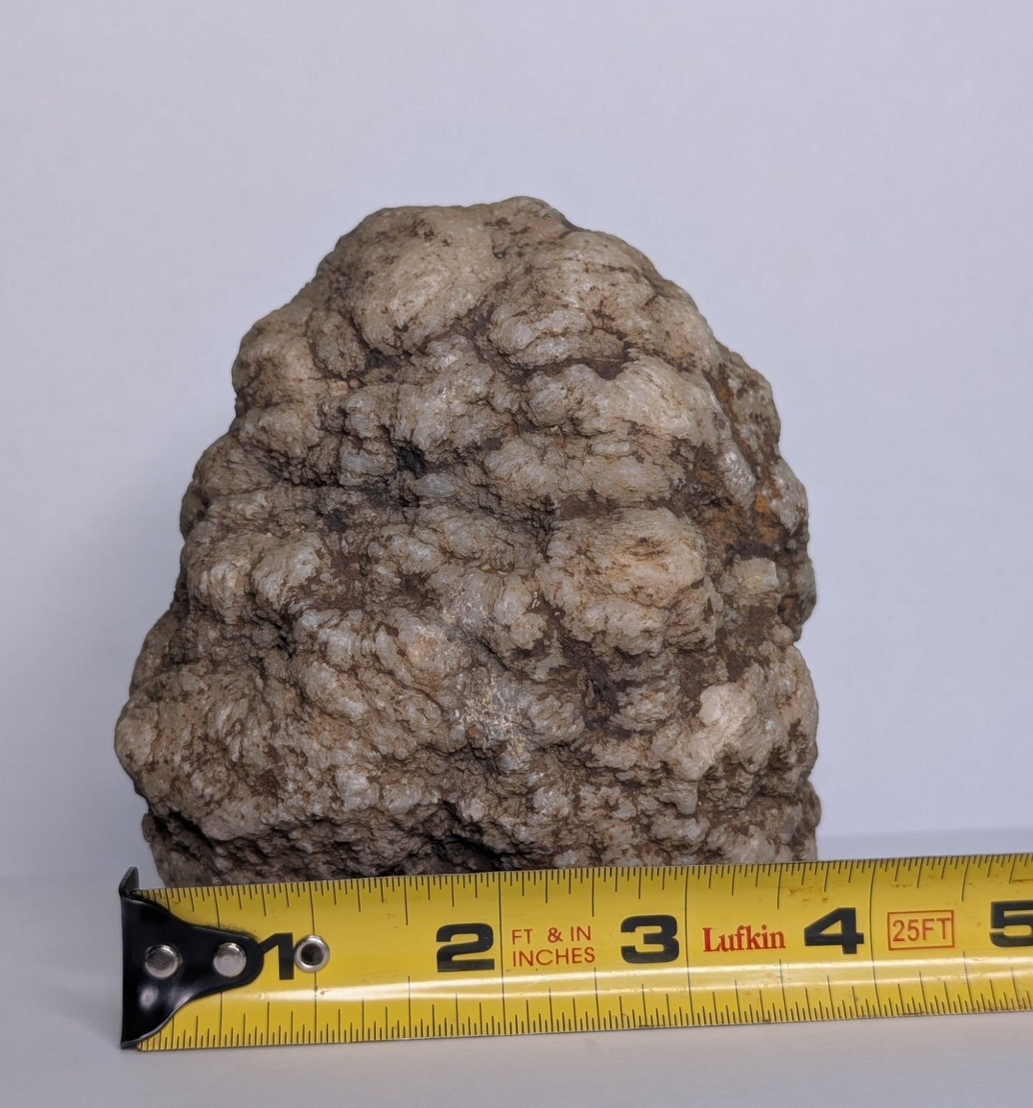2lb Unopened Geode Crystal Mineral Specimen Natural Quartz Break Your Own